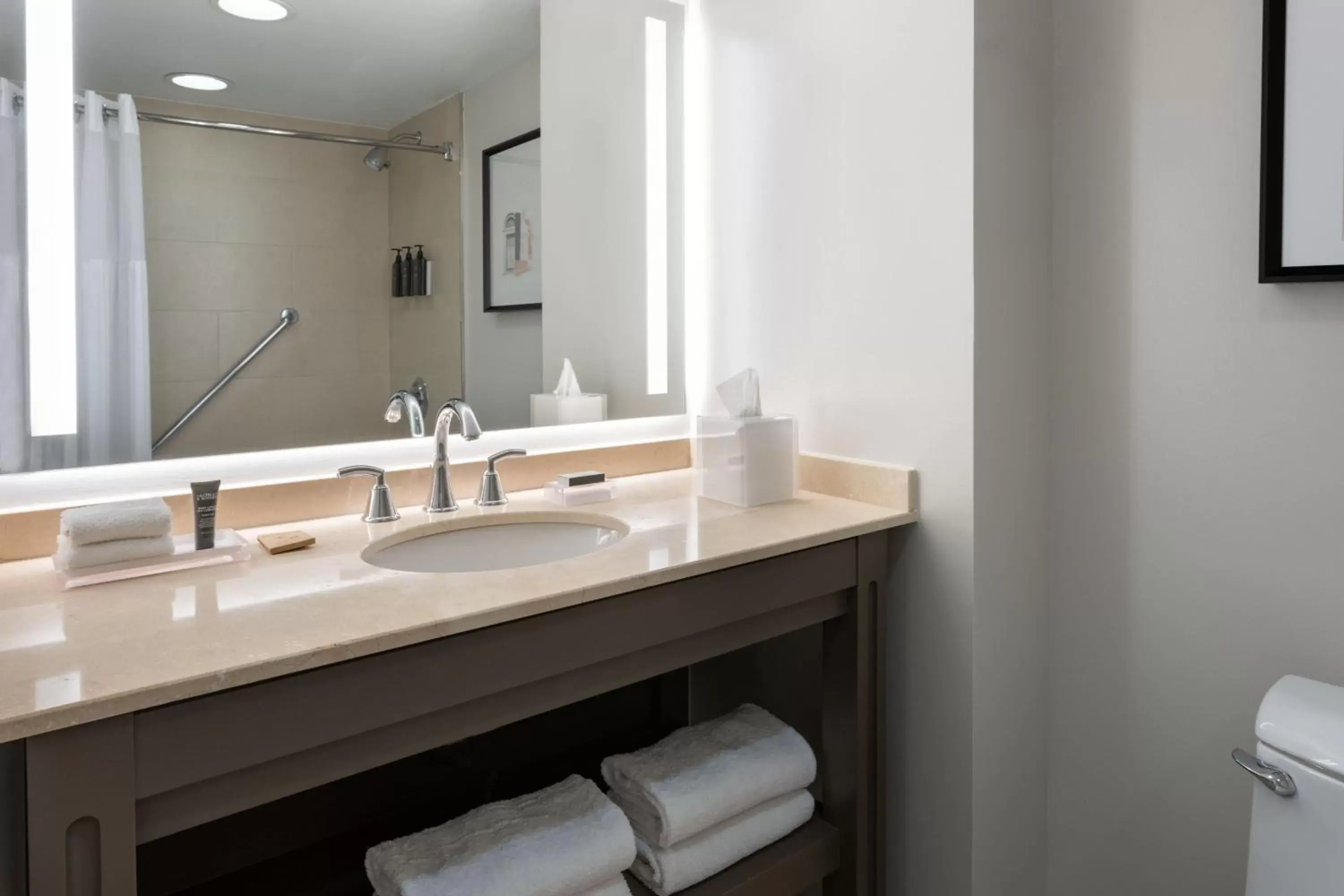 Bathroom in Sheraton Puerto Rico Resort & Casino