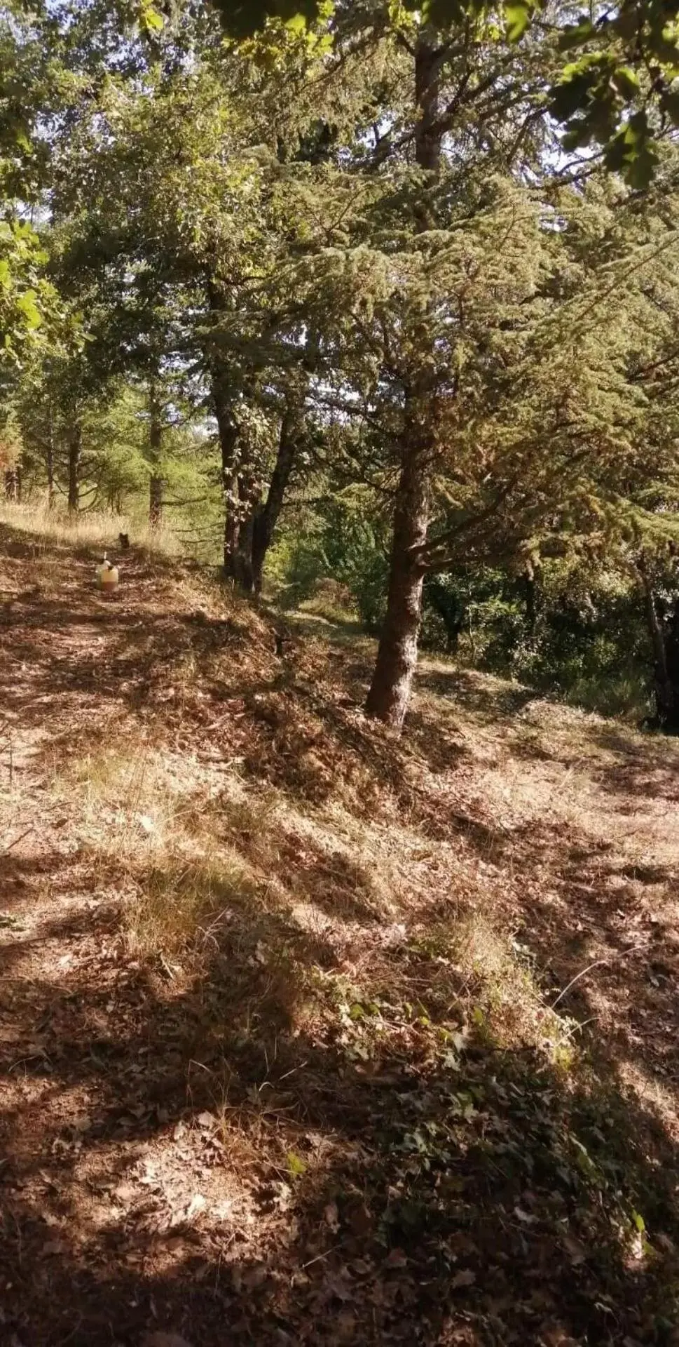 Natural landscape in Tikazéla - Domaine Ombre et Lumière