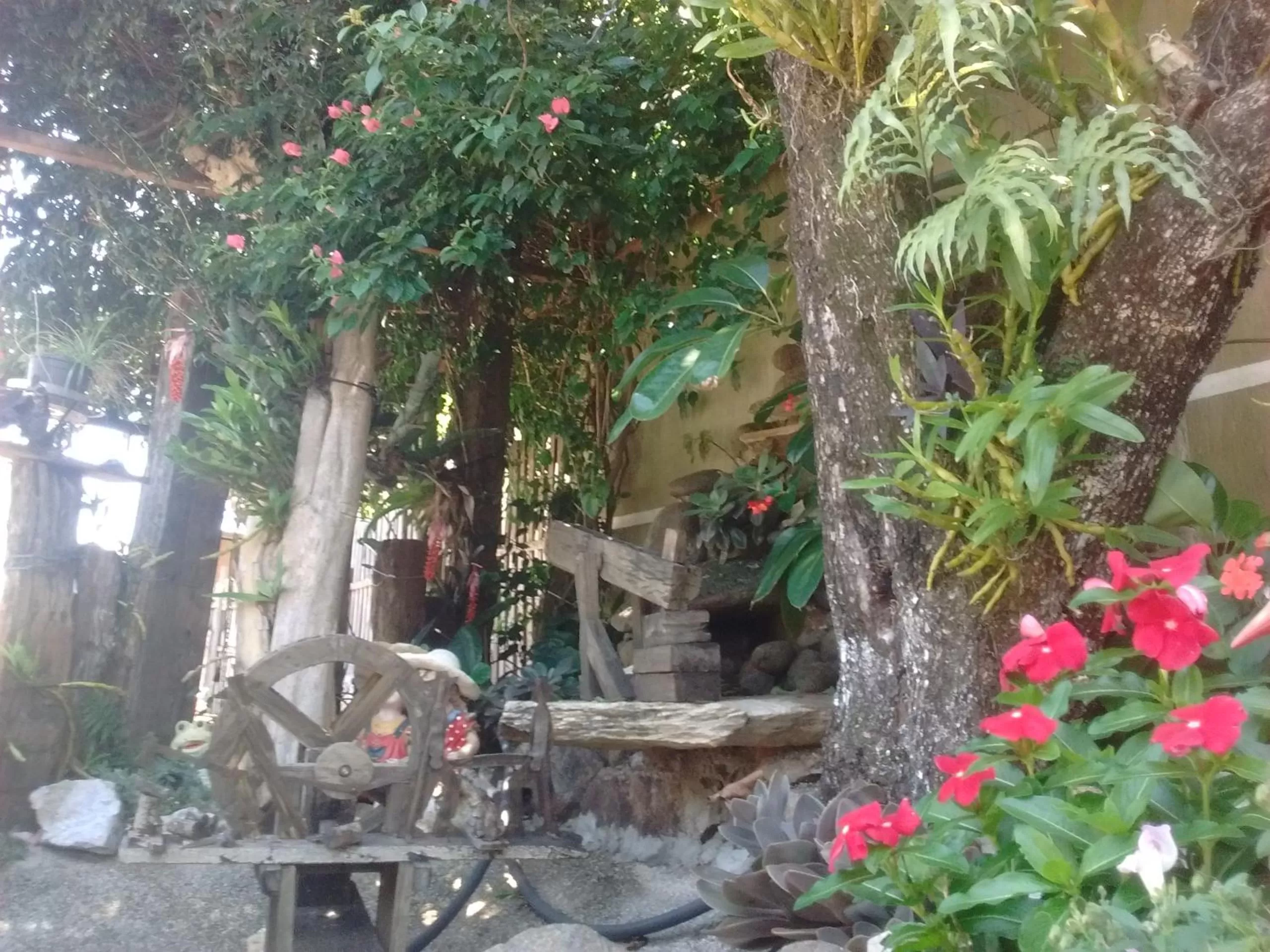Garden in Hotel Dal Gobo