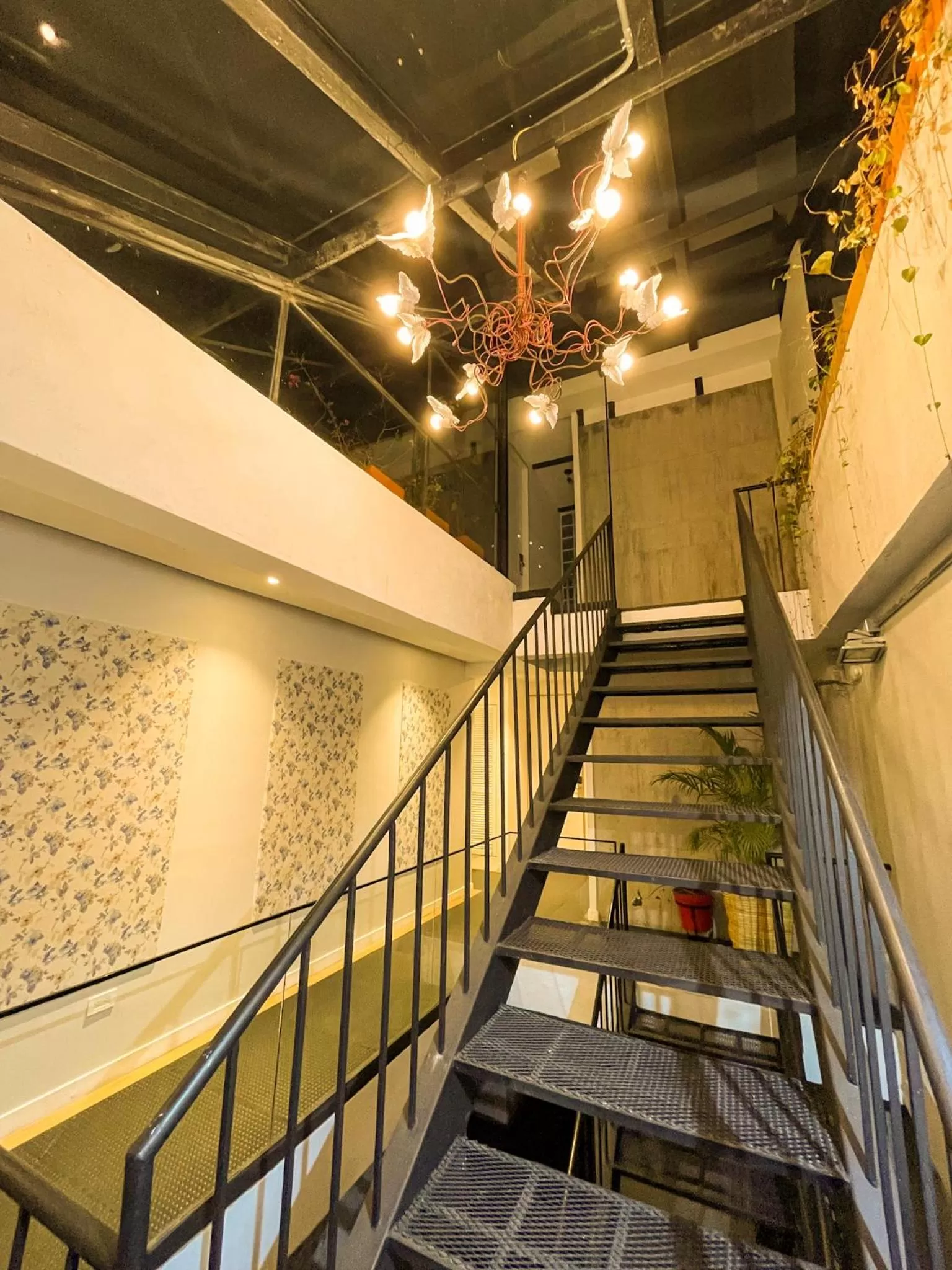 Property building in Lucitania Hotel Boutique