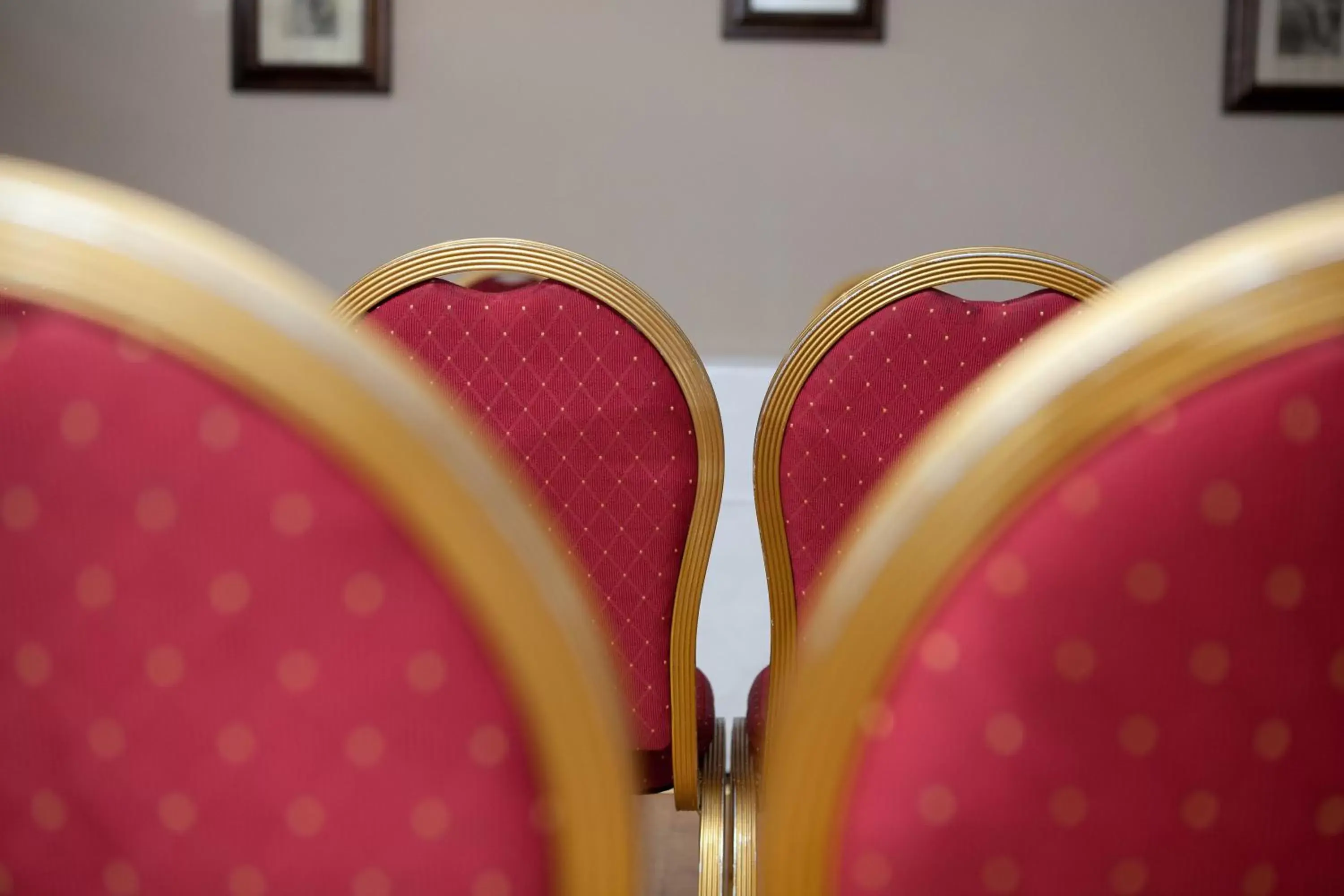 Meeting/conference room, Lounge/Bar in Darnley Lodge Hotel