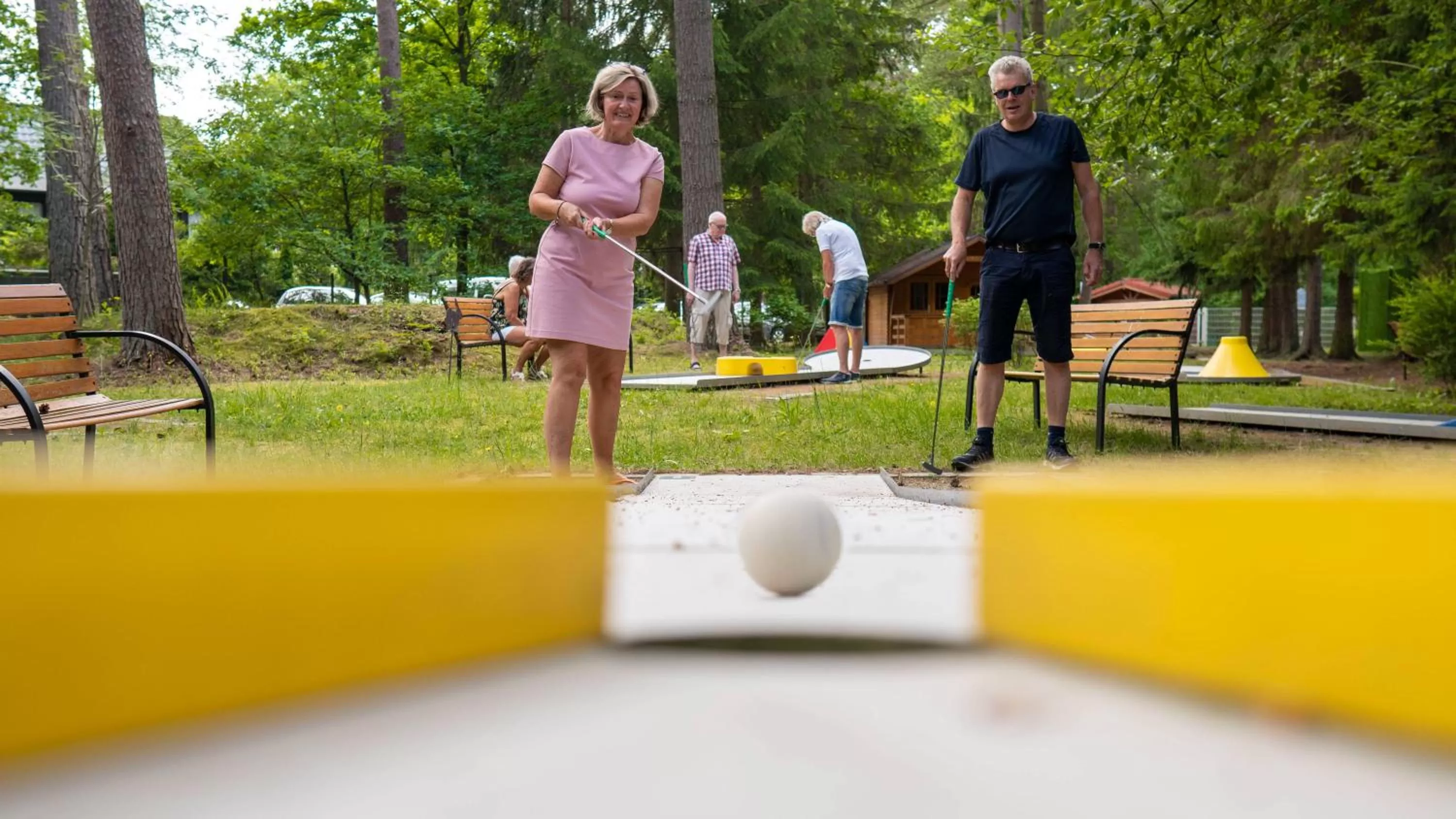 Minigolf in Hotel Zur Heidschnucke - Spa & Nature Resort