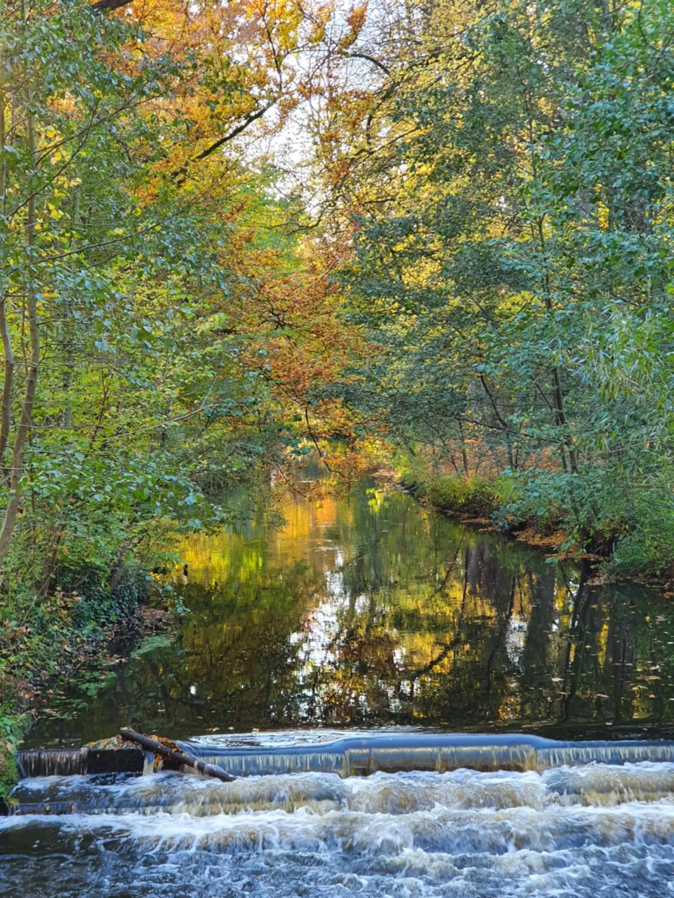 Staff in Hotel Paulsen