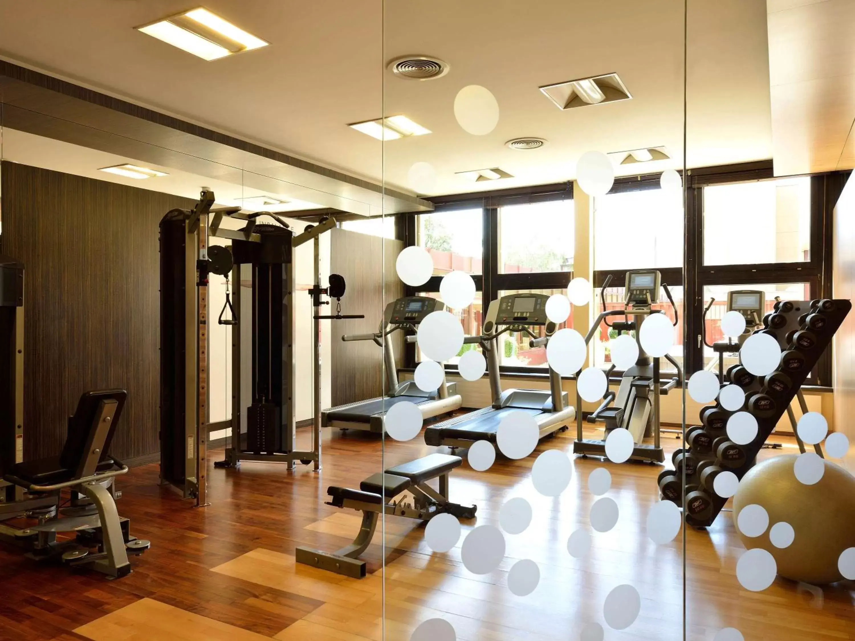 Fitness centre/facilities, Fitness Center/Facilities in Novotel Budapest City