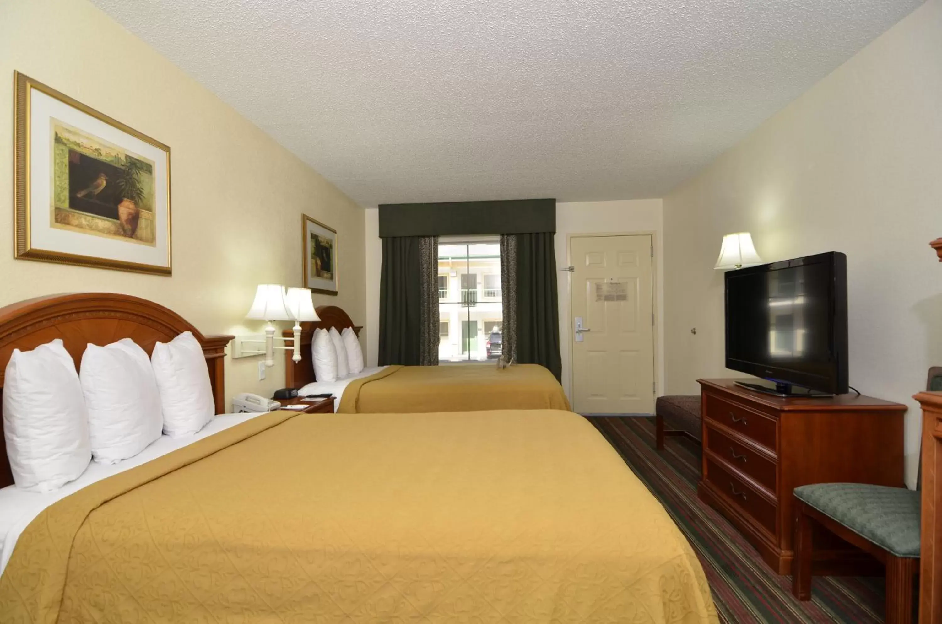 Photo of the whole room, Bed in Quality Inn & Suites Biltmore East