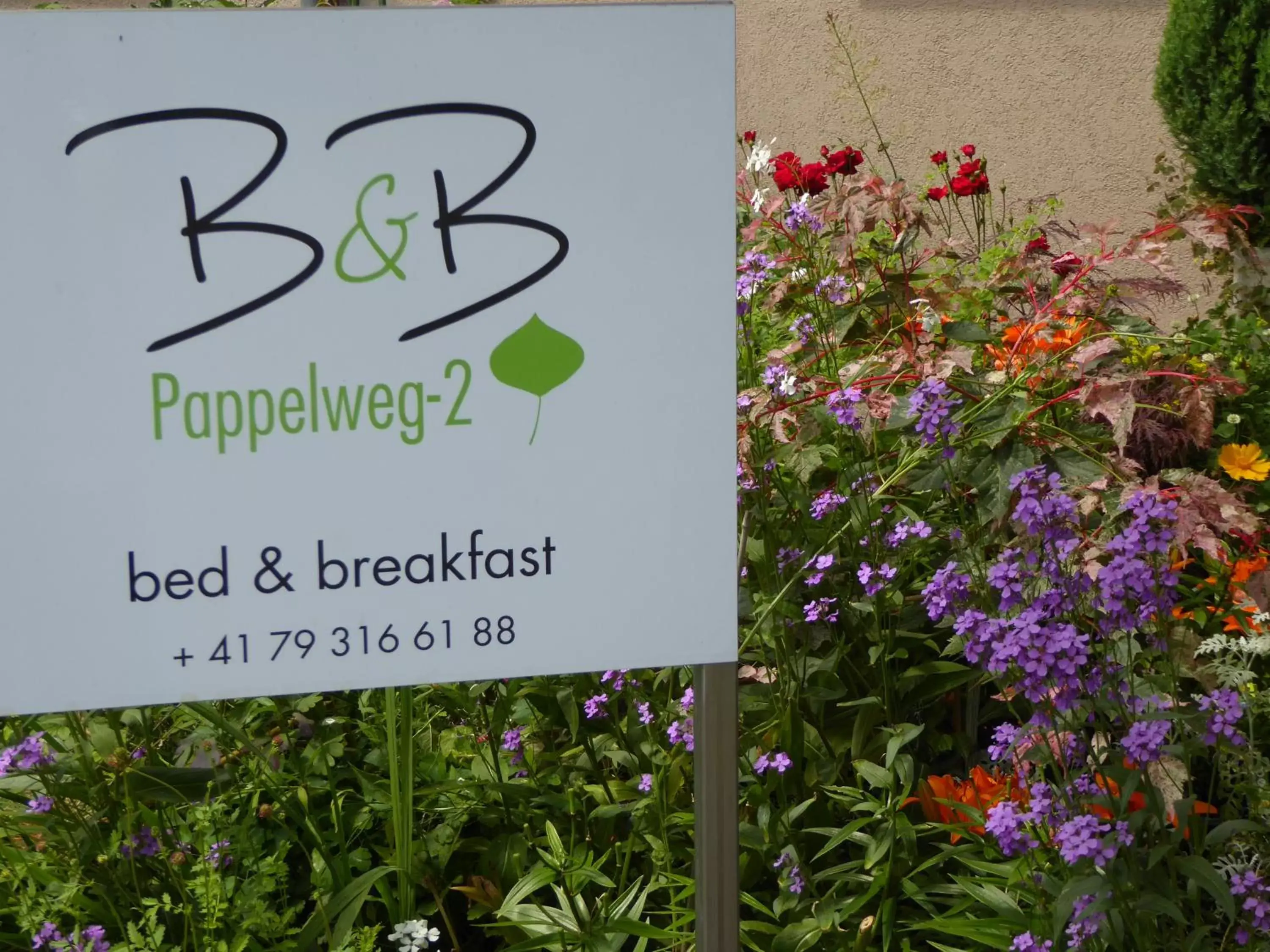 Garden, Logo/Certificate/Sign/Award in B&B Pappelweg - 2