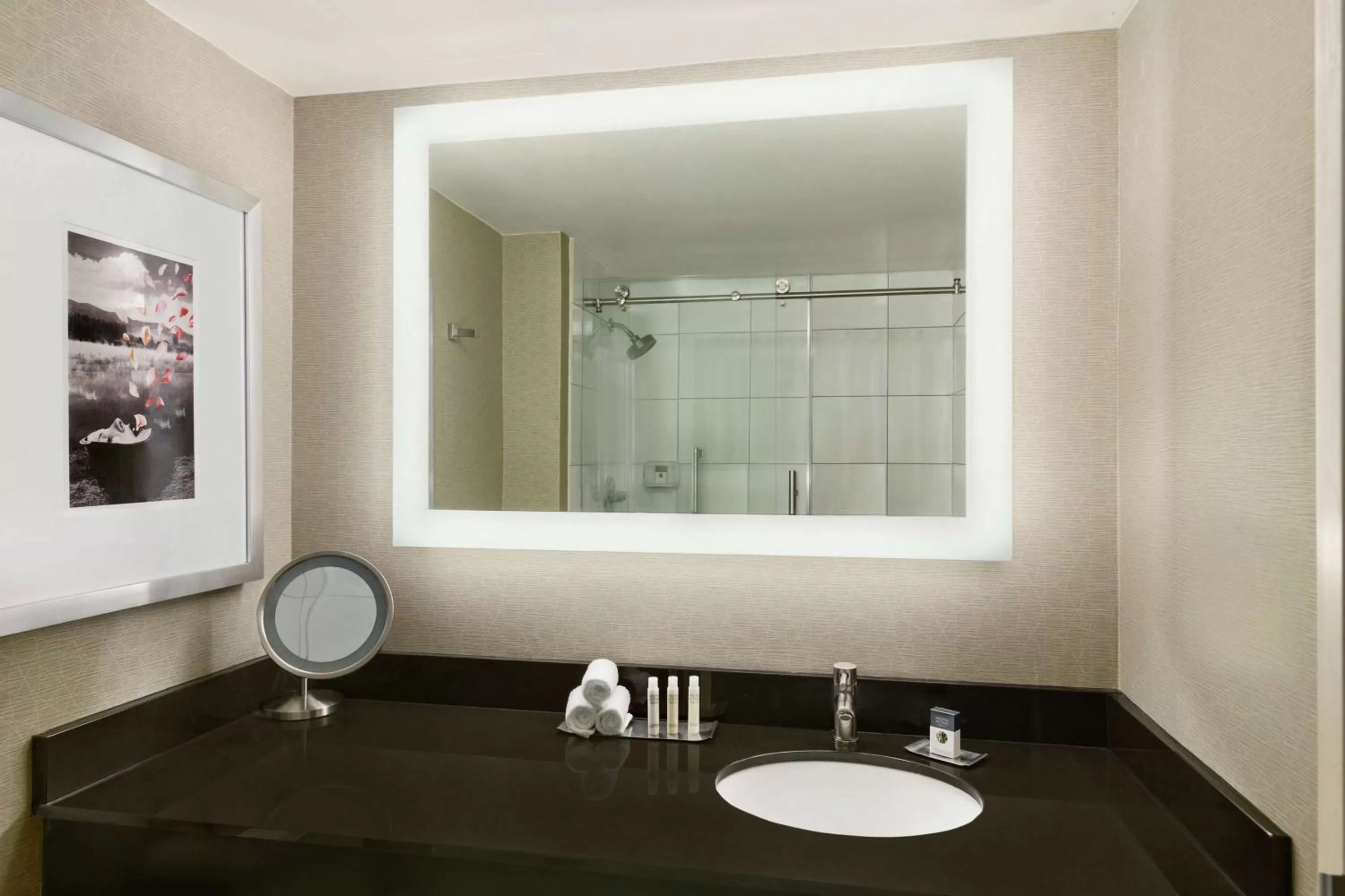 Bathroom in DoubleTree by Hilton Hotel Detroit Novi