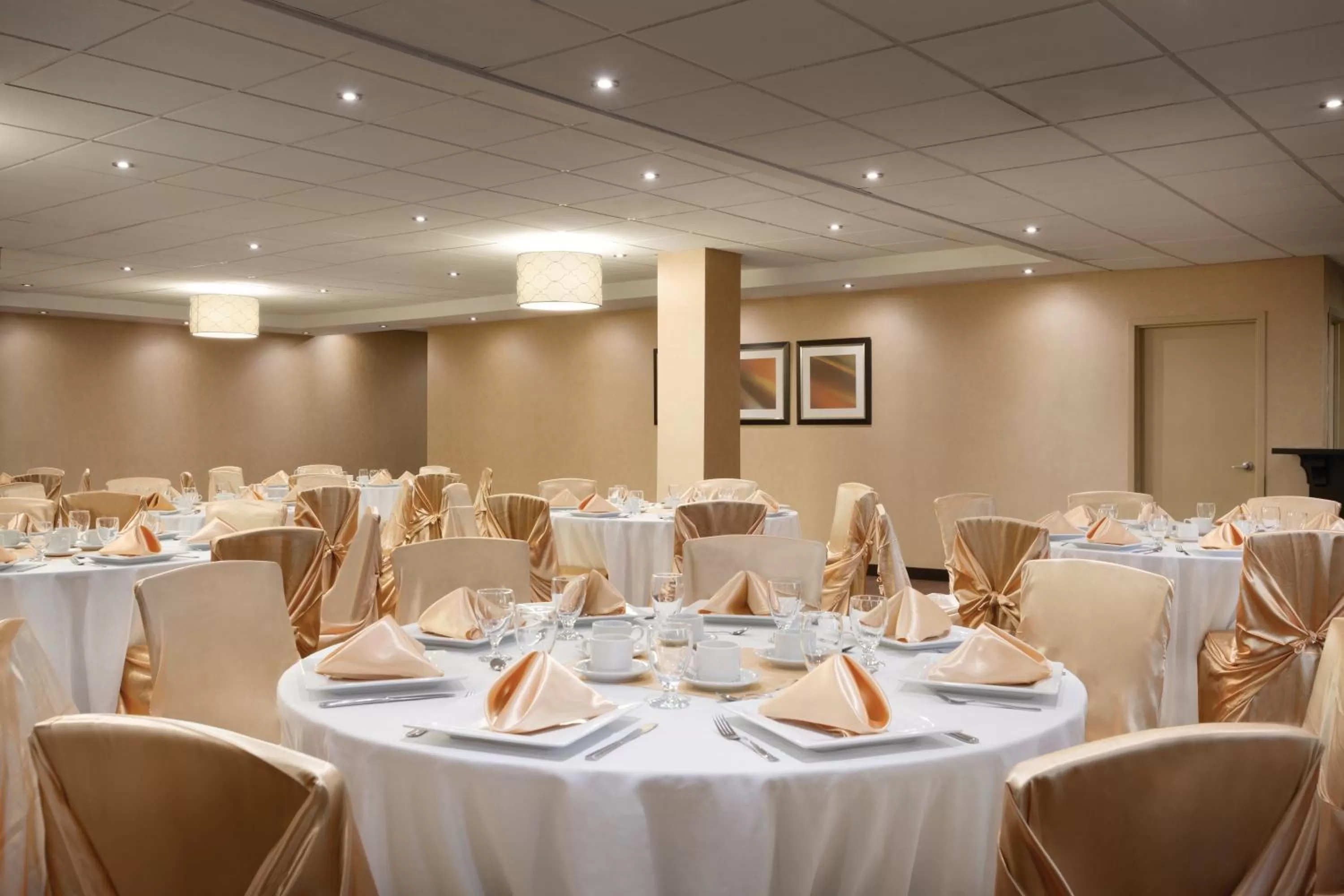 Banquet/Function facilities in Park Inn by Radisson Toronto-Markham