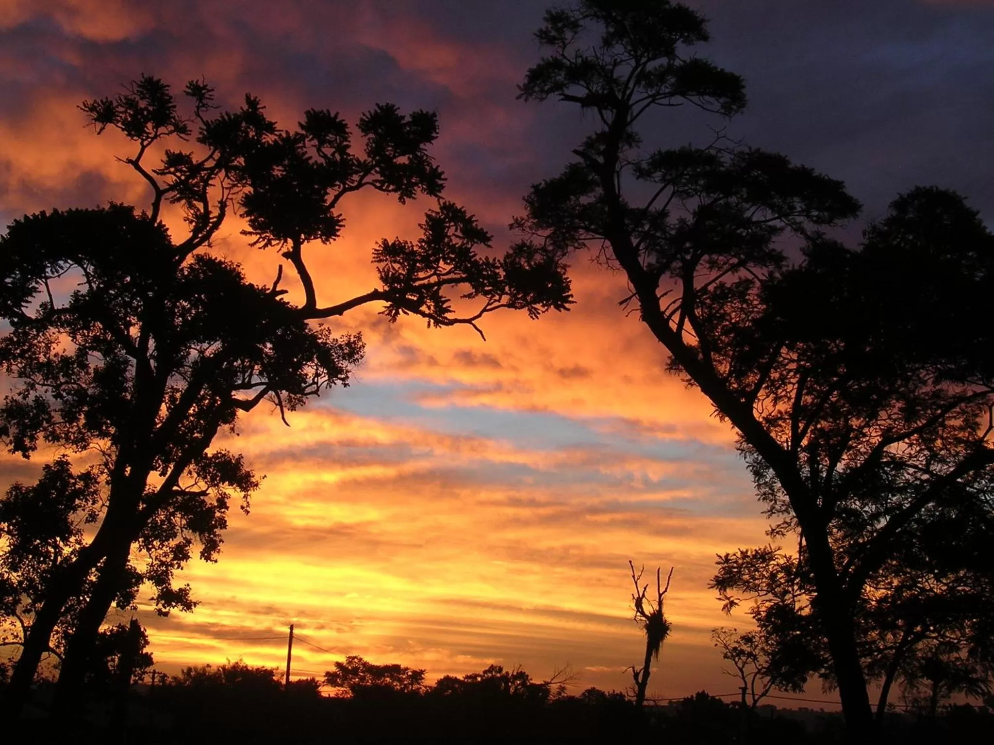 View (from property/room) in Posada 21 Oranges