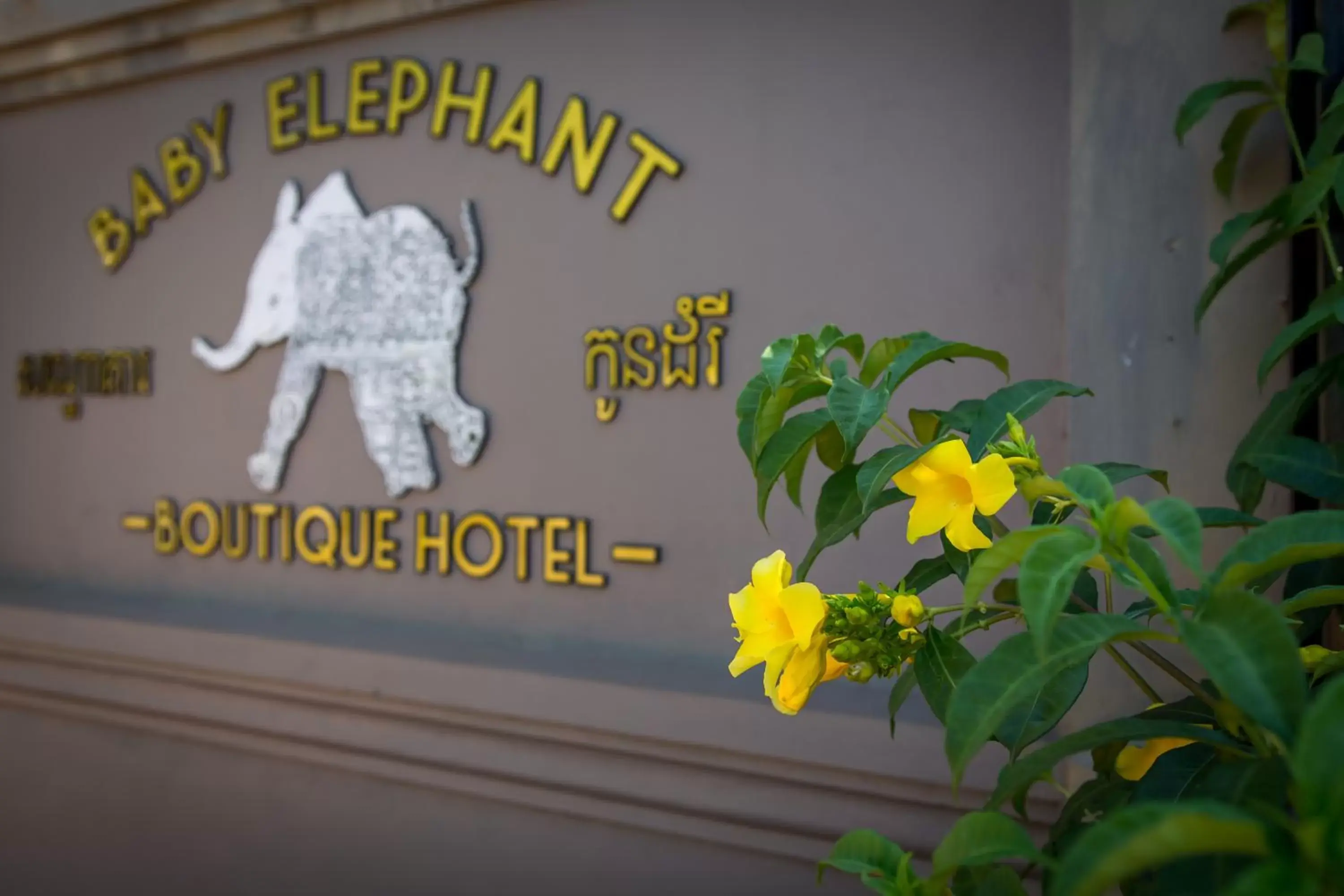 Property logo or sign in Baby Elephant Boutique Hotel