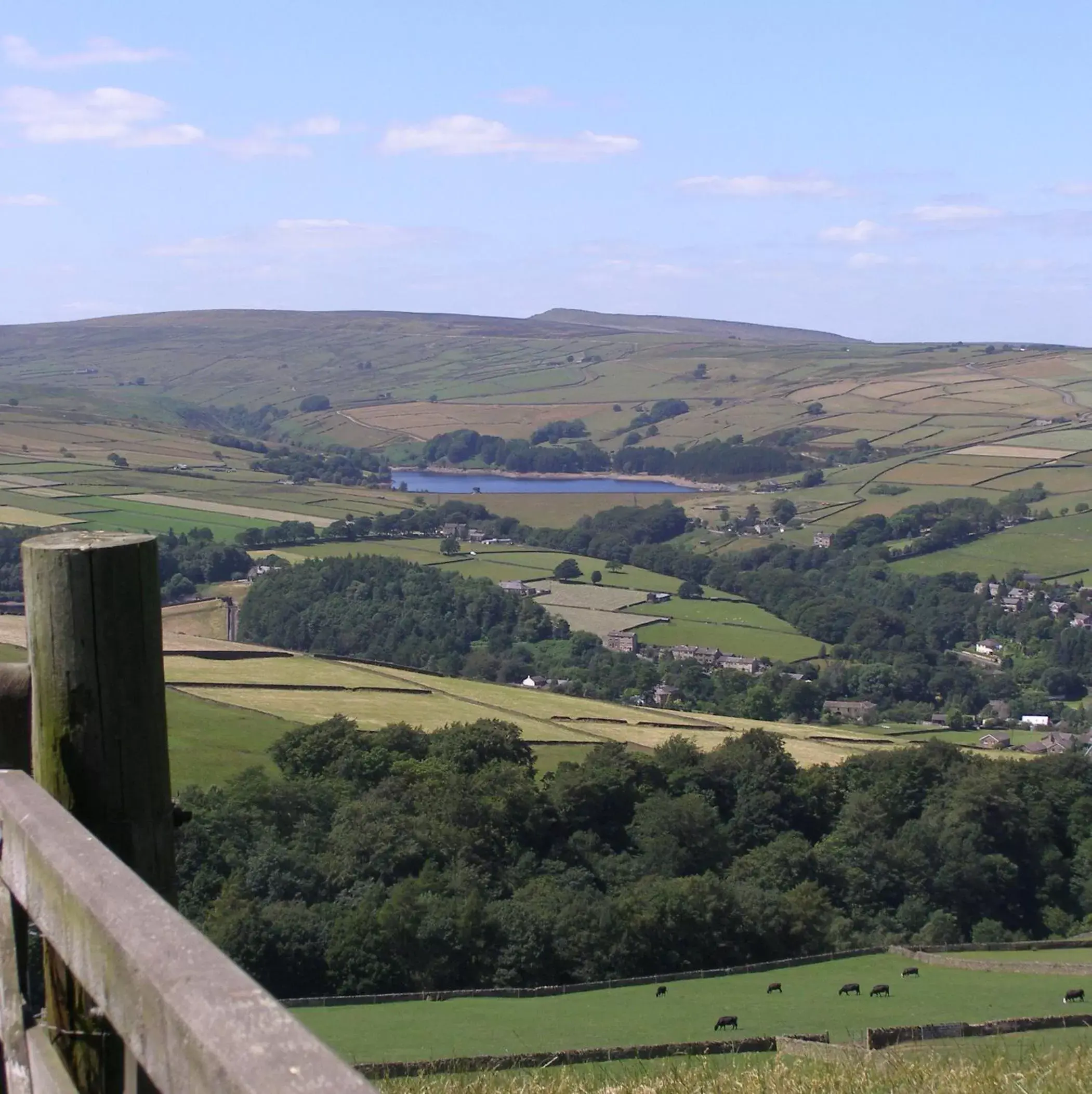 View (from property/room) in Coddy's Farm