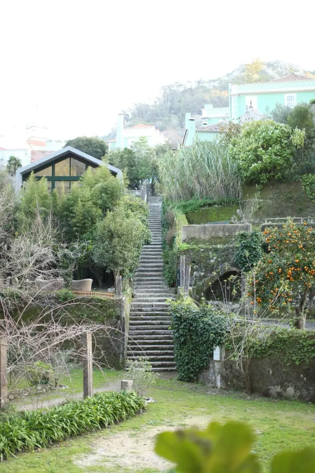 Garden in Casa Holstein Quinta de Sao Sebastiao Sintra