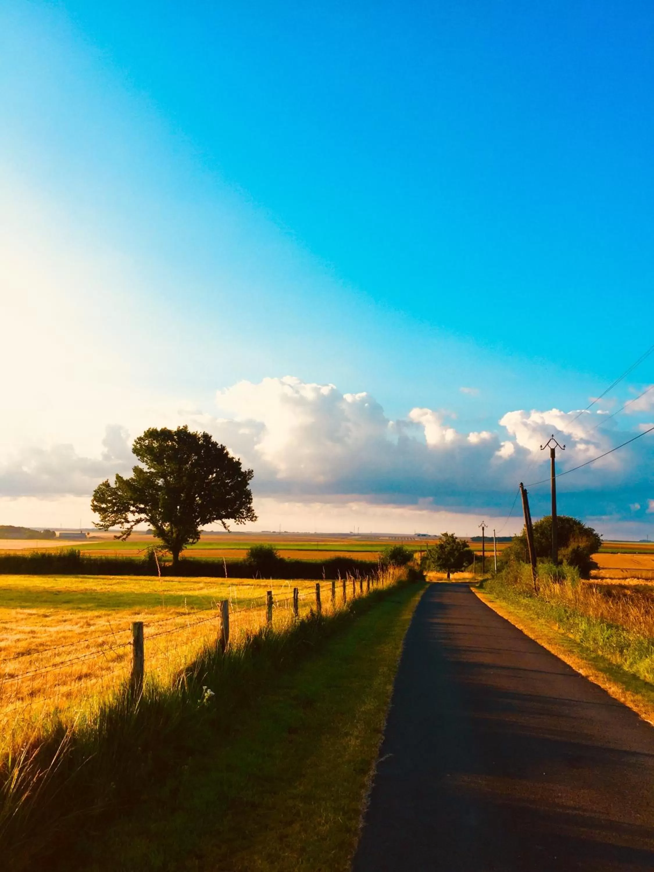 Natural landscape in Le Petit Chateau De Sainte Colombe