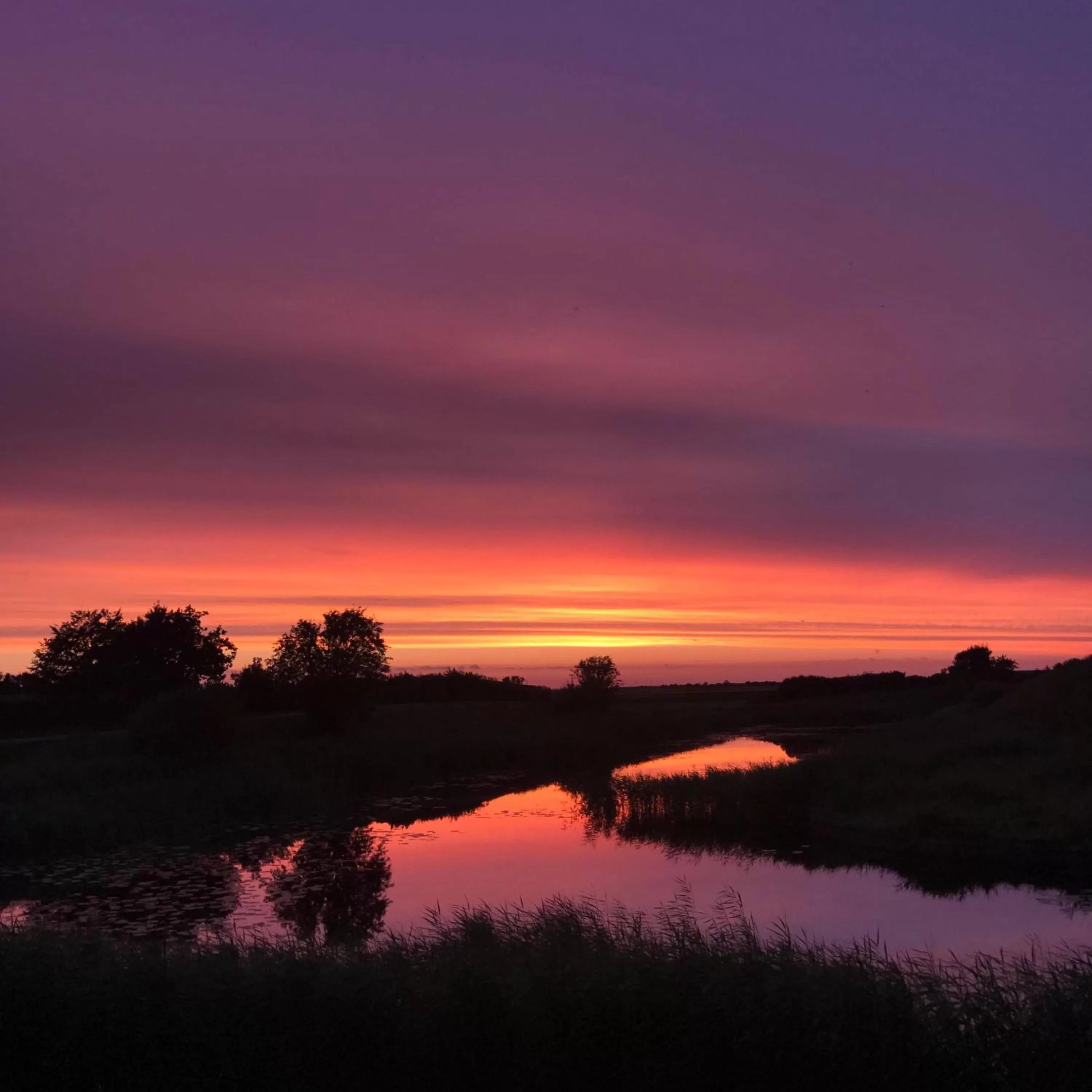 Bjerrumgaard bed and breakfast