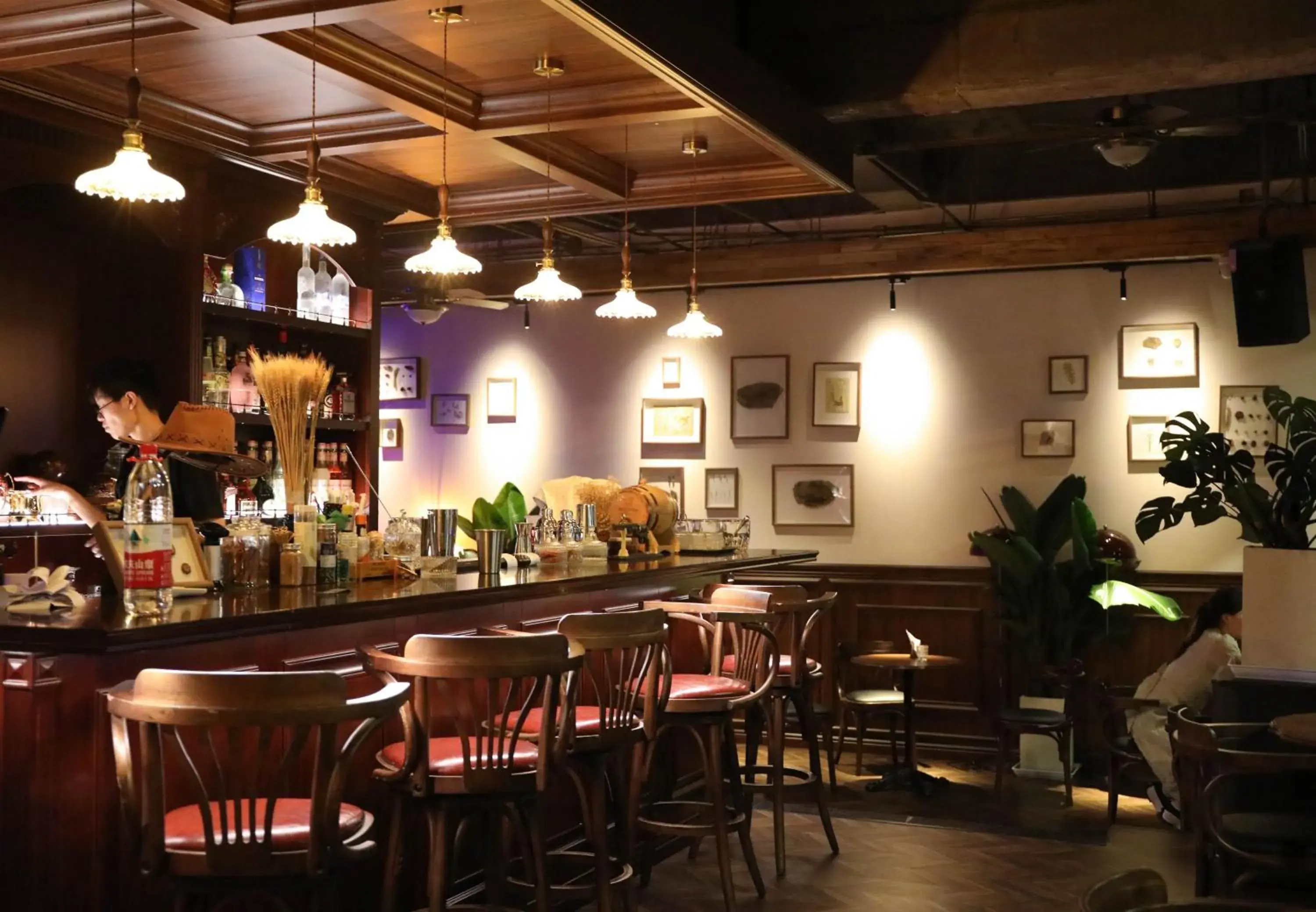 Lounge or bar in SONDERIA Lazybones Hostel- Wenshu Temple Side, Chill Hostel with All-Day Brunch, Travel Agency in English & Local Bar Vibes Lounge or bar in SONDERIA Lazybones Hostel- Wenshu Temple Side, Chill Hostel with All-Day Brunch, Travel Agency in English & Local Bar Vibes