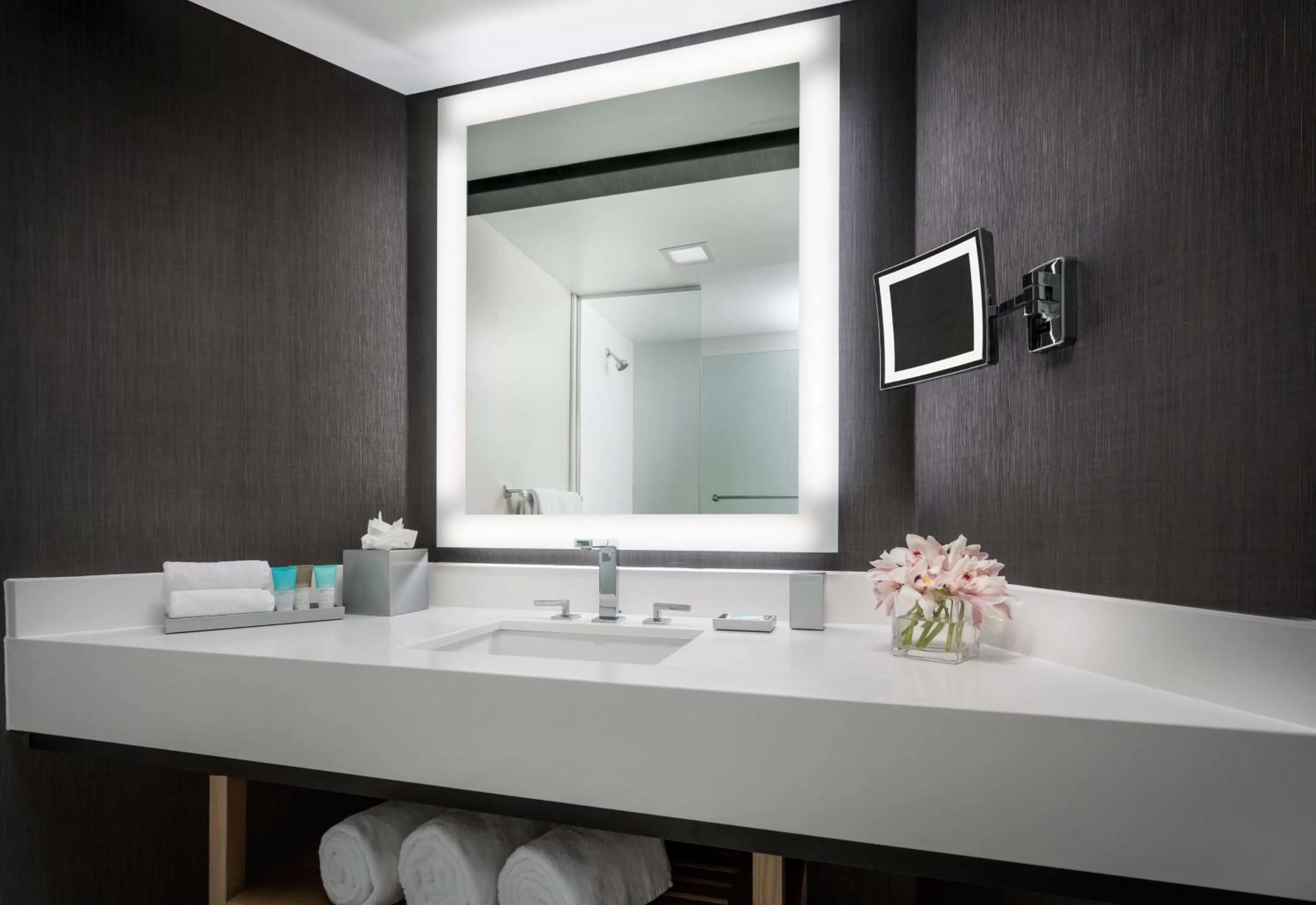 Bathroom in Hyatt Regency Bethesda near Washington D.C.