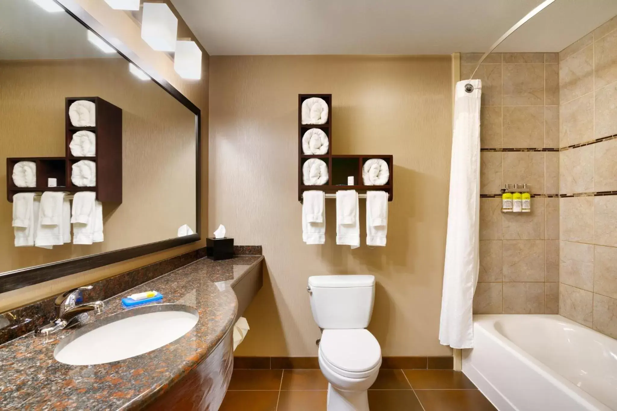 Bathroom in Holiday Inn Express Hotel & Suites Butte, an IHG Hotel