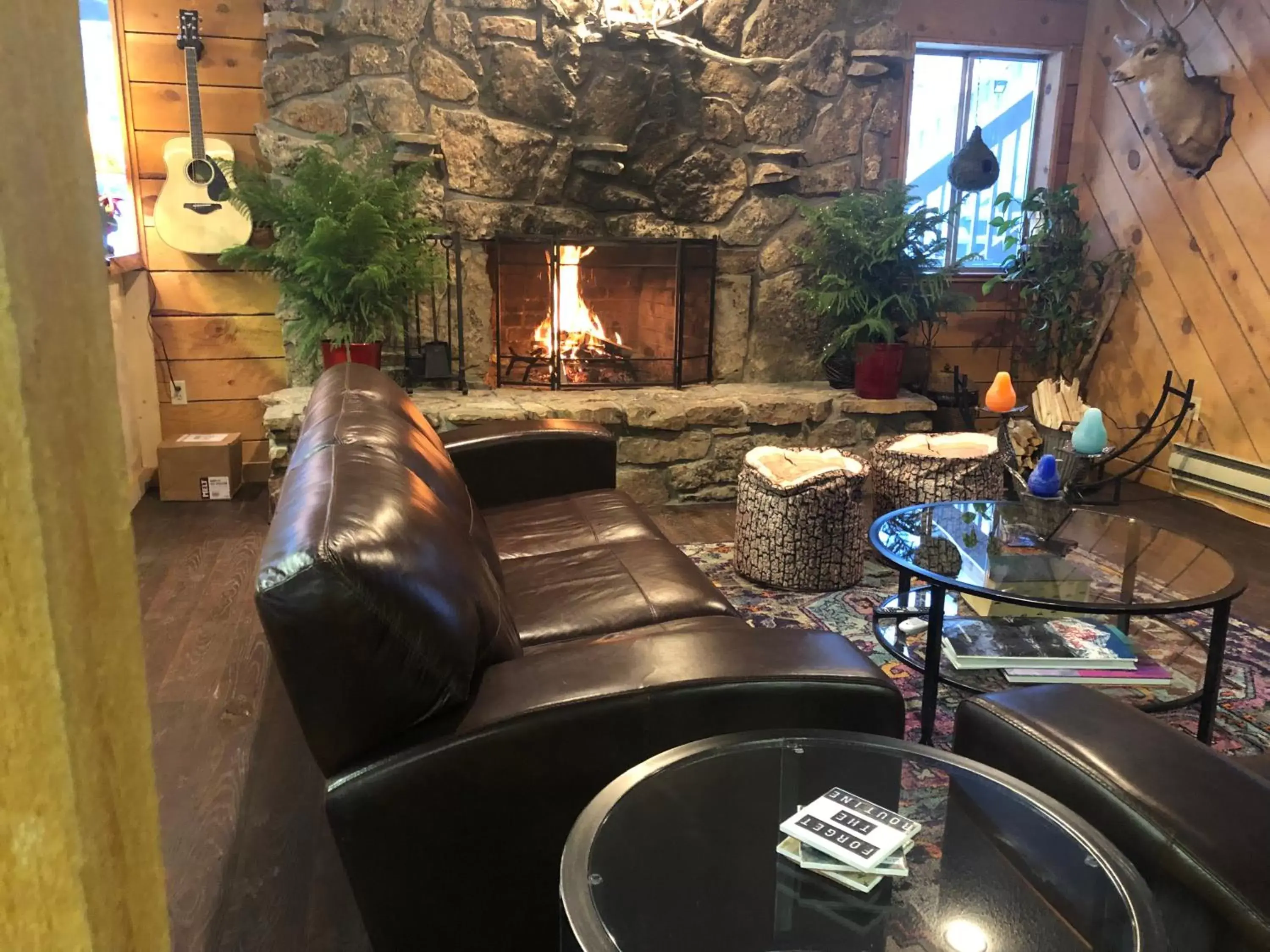 Lobby or reception in Timber Ridge Lodge Ouray