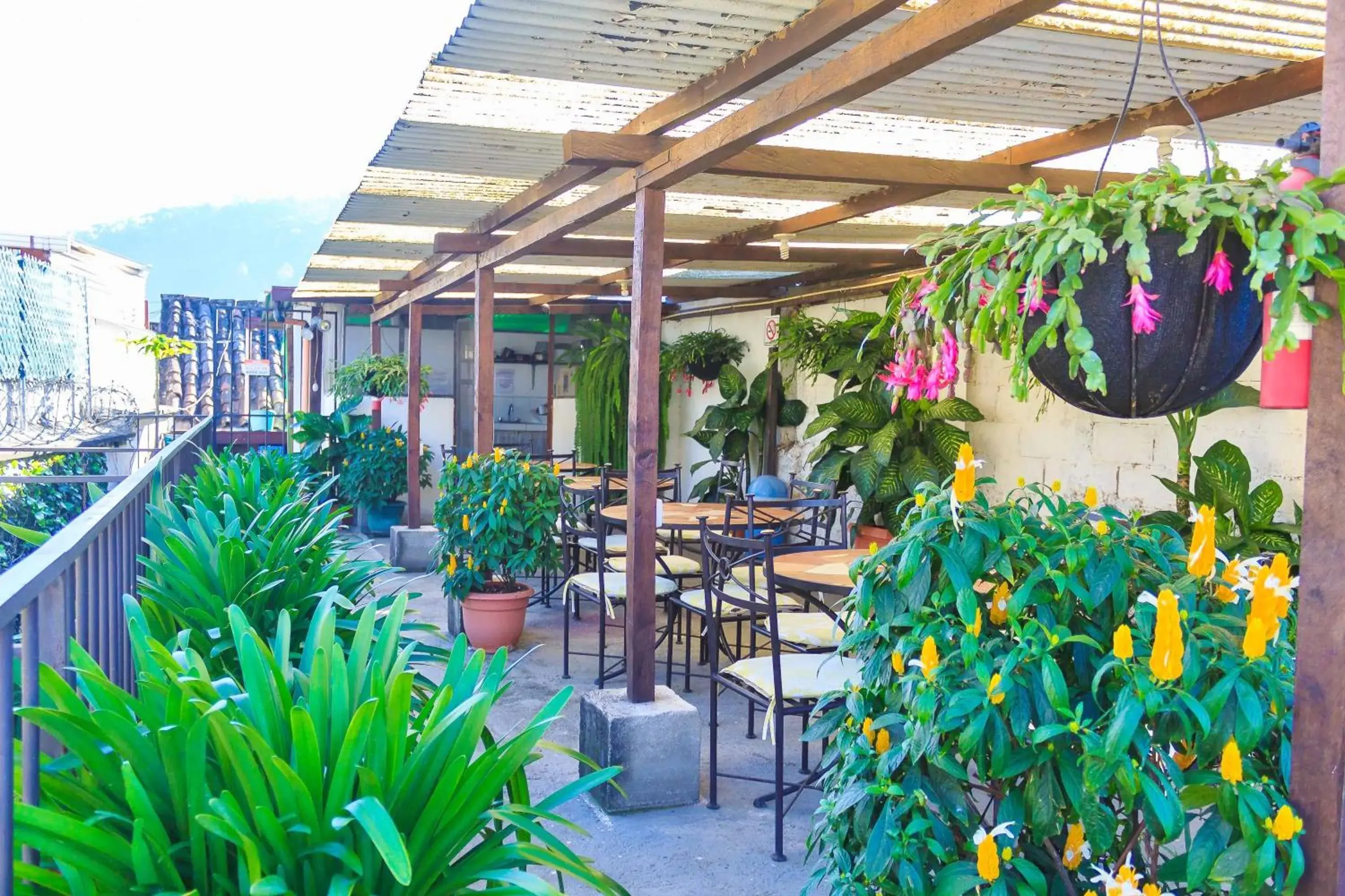 Balcony/Terrace in Hostal Antigua