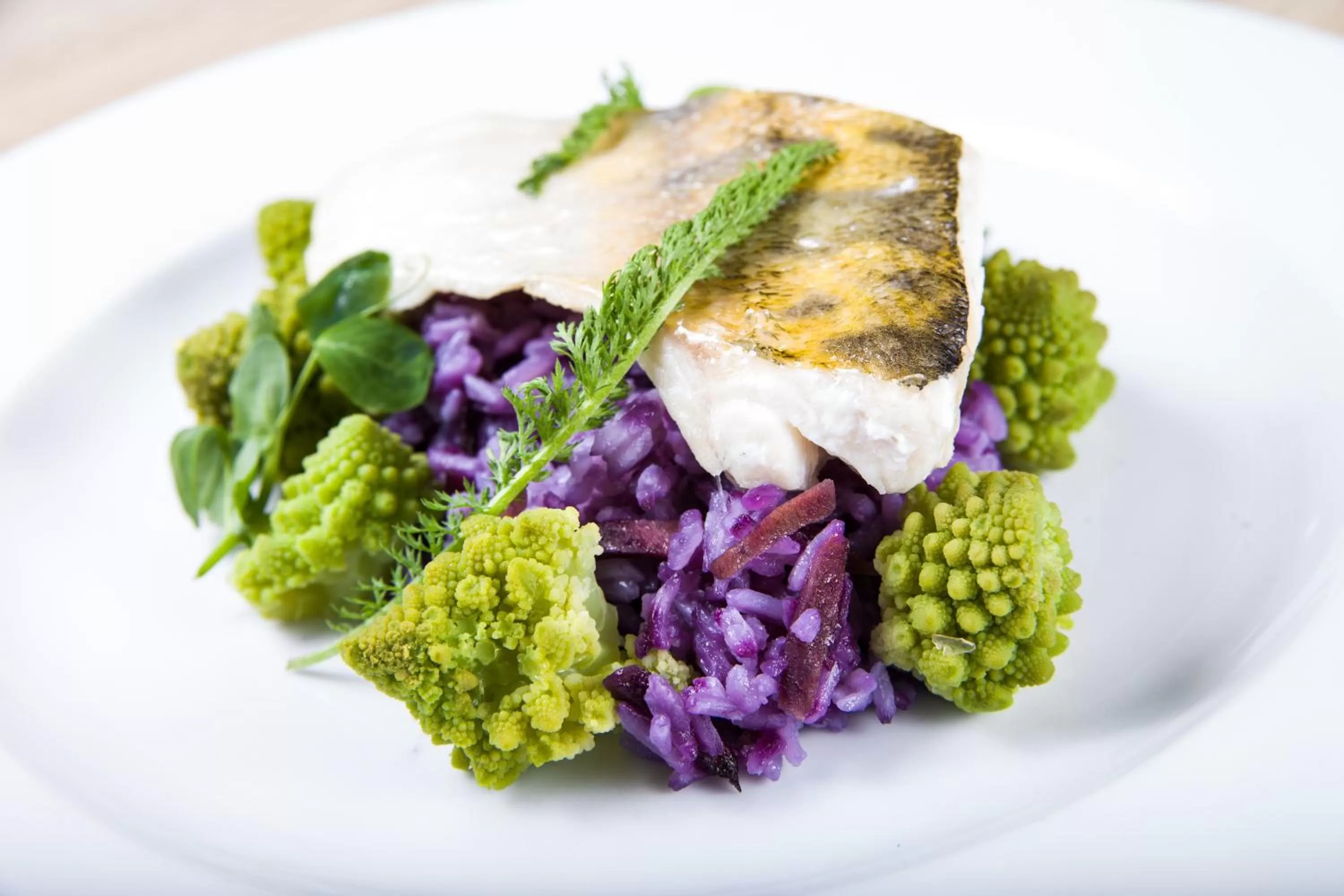 Restaurant/places to eat in Hotel Zatoka