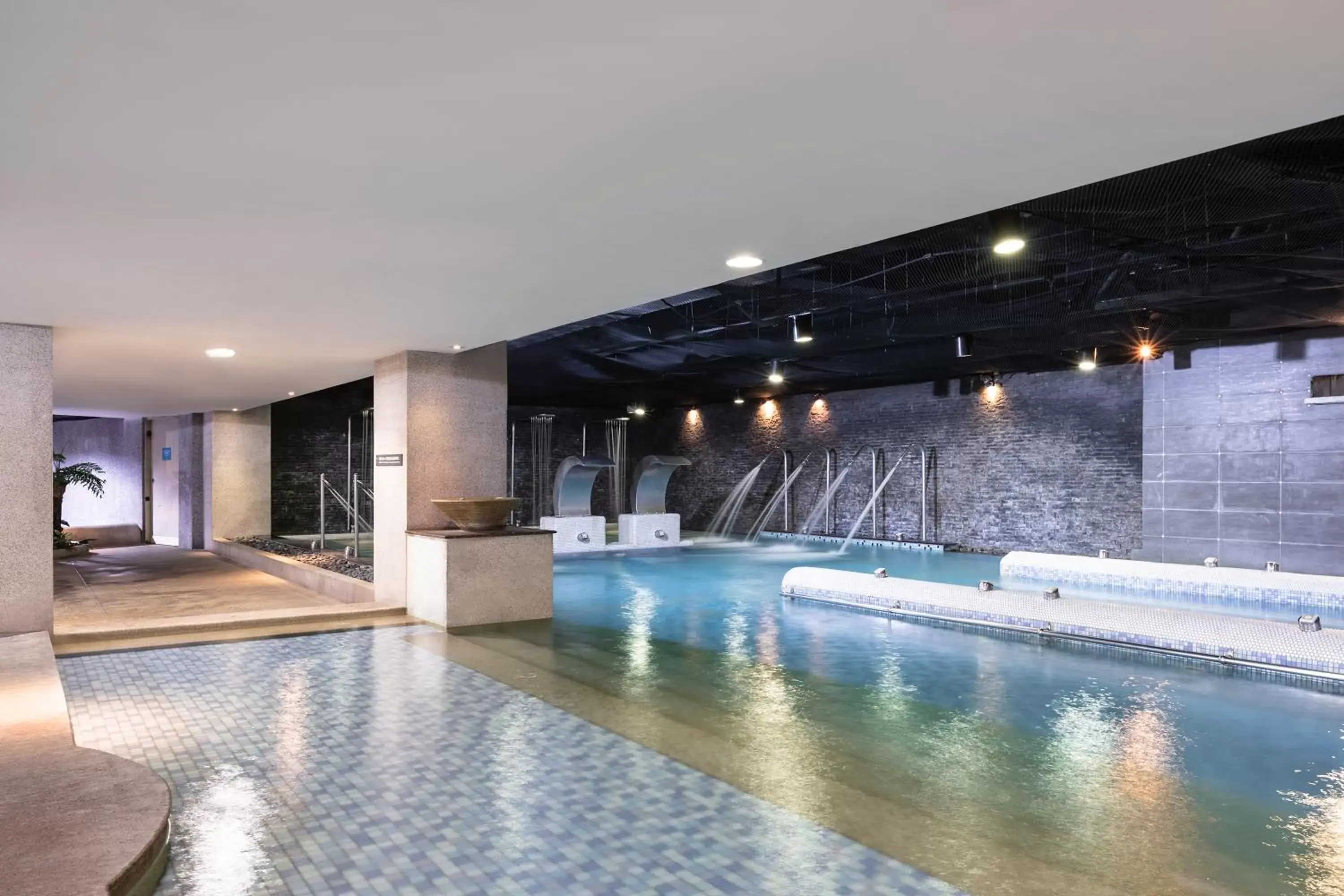 Spa and wellness centre/facilities, Swimming Pool in Lakeshore Hotel Hsinchu