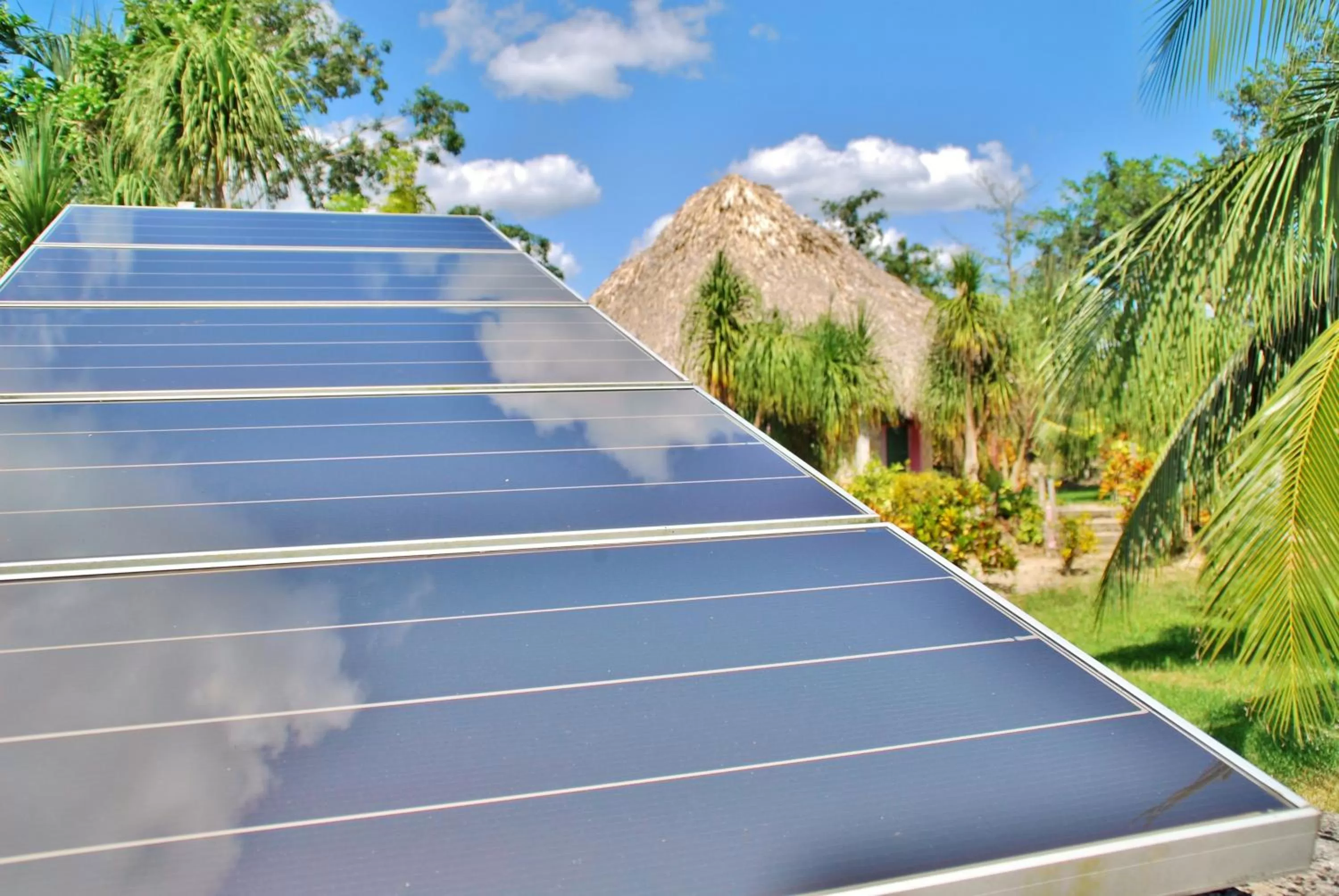 Garden in Villas Ecotucan