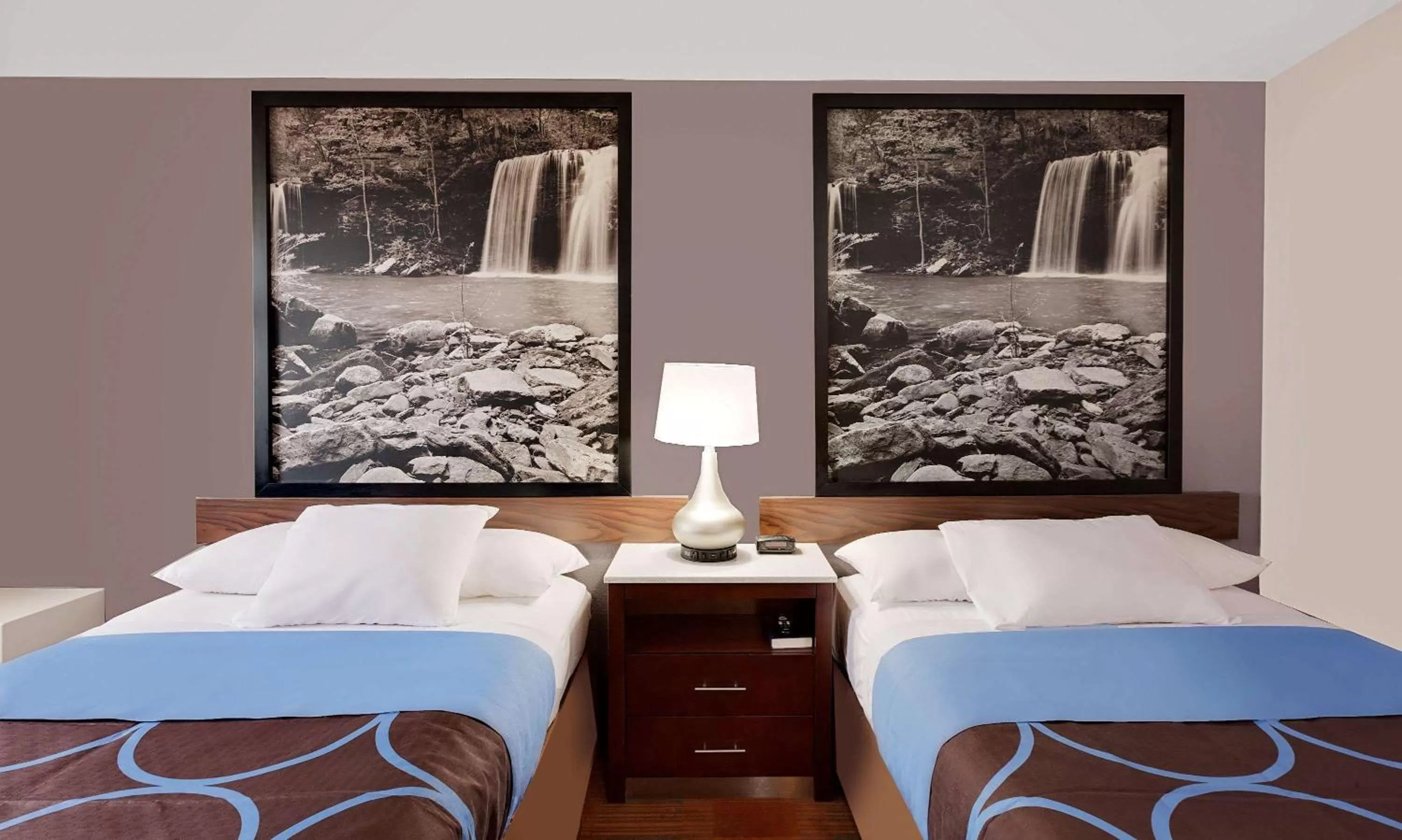 Photo of the whole room, Bed in Super 8 by Wyndham Fayetteville