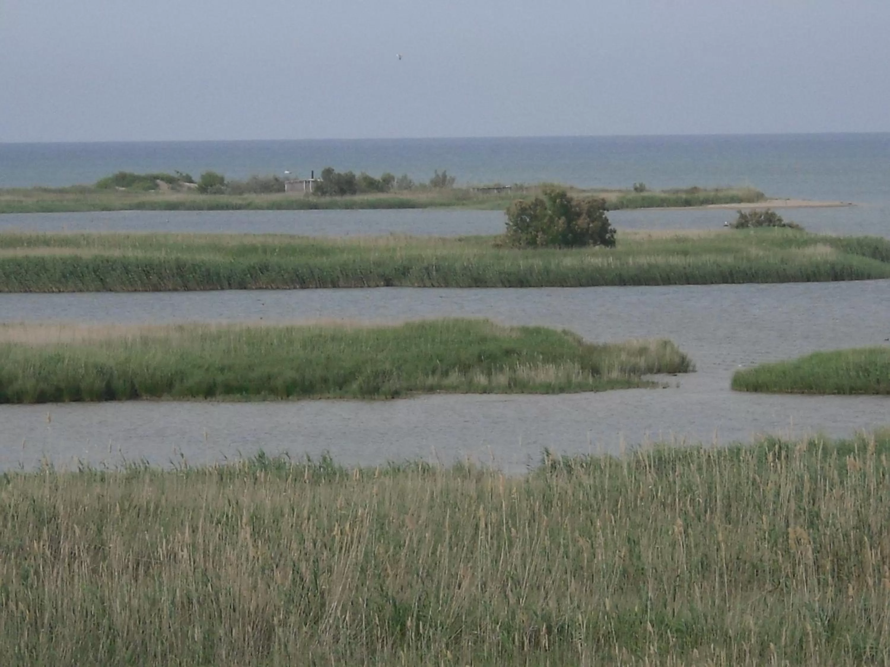 Nearby landmark in Hotel Can Batiste