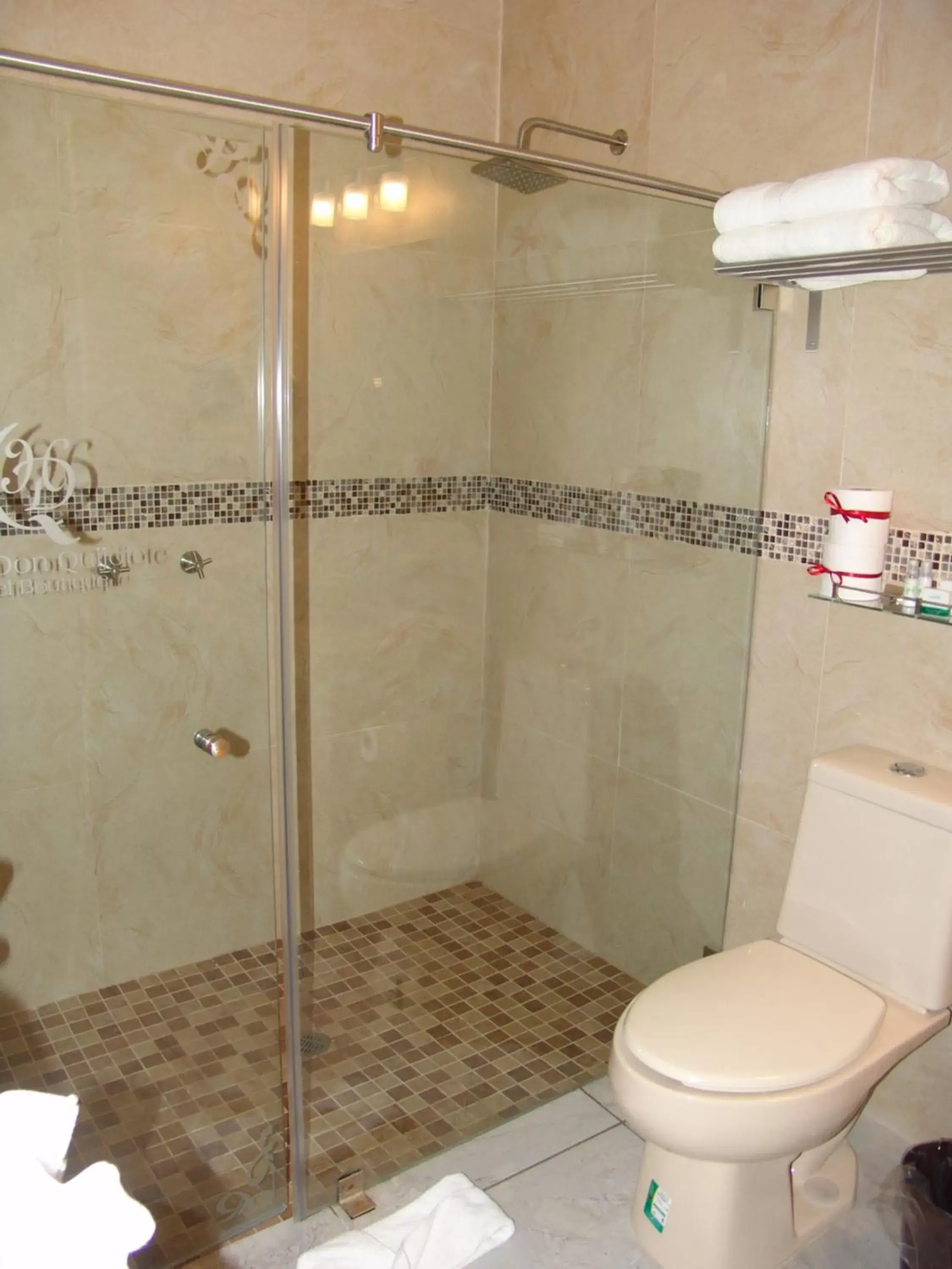 Shower, Bathroom in Hotel Casa Don Quijote