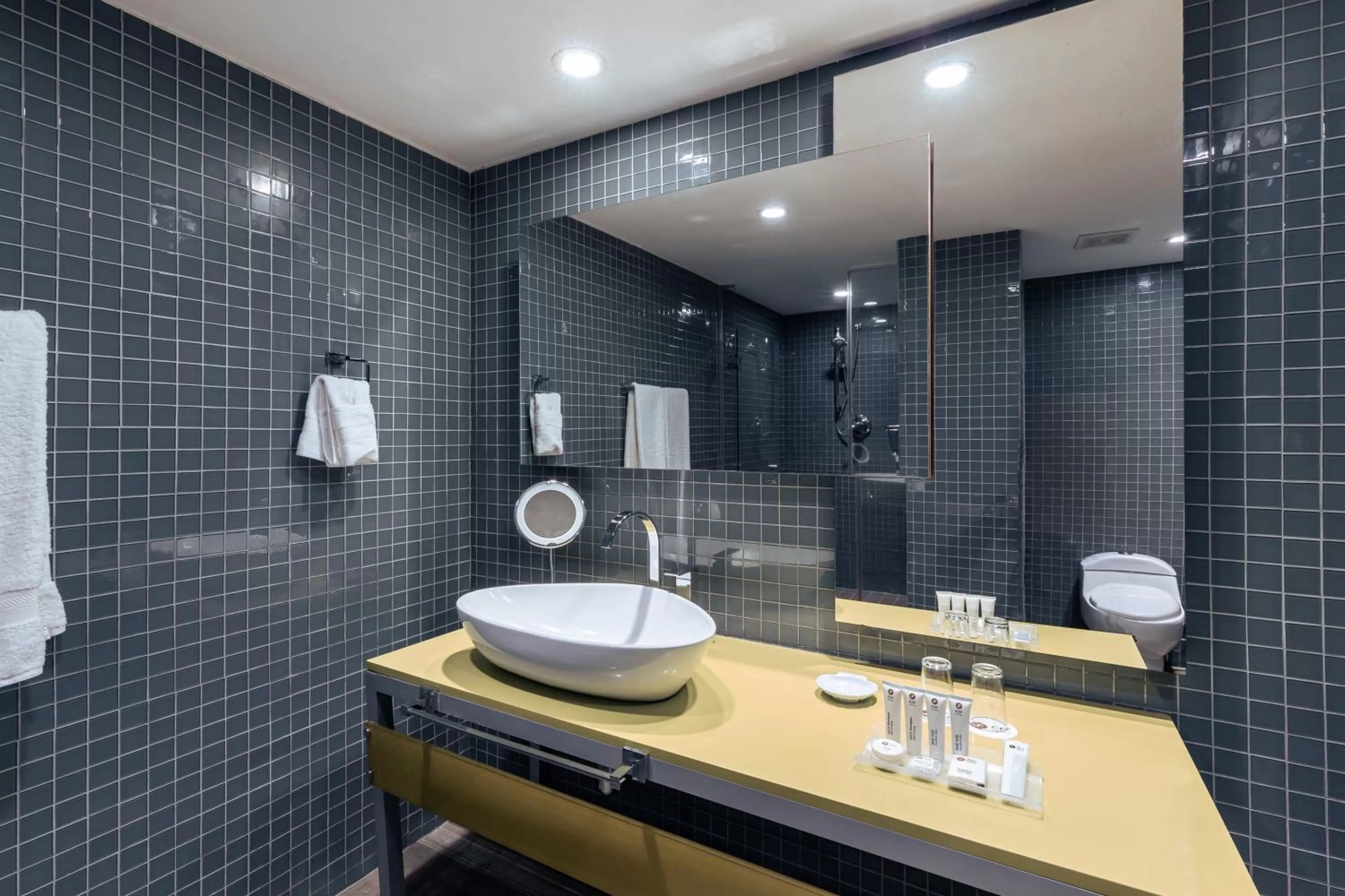 Bathroom in Exe Oriental Panamá