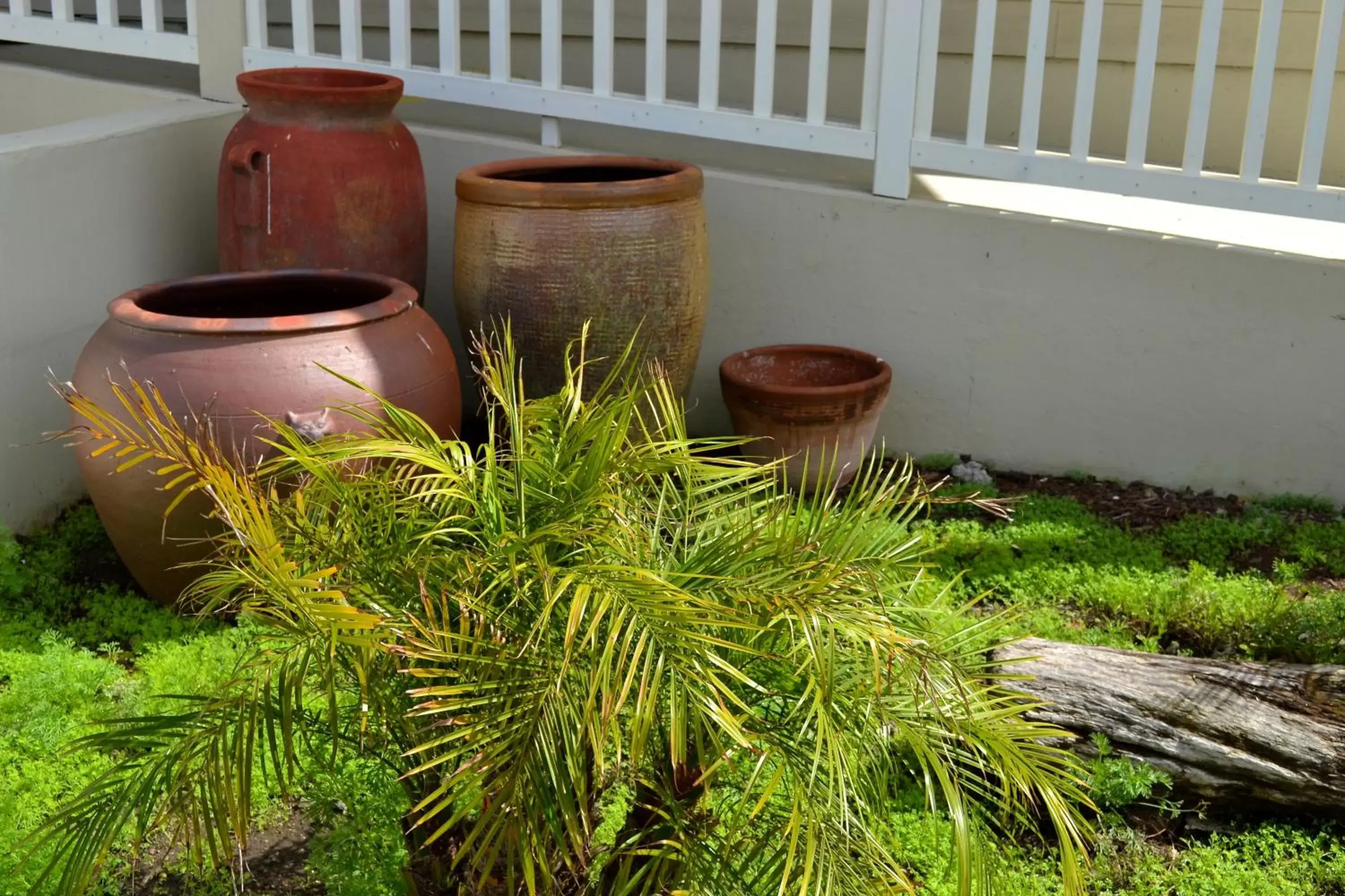 Garden in On the Beach Bed and Breakfast