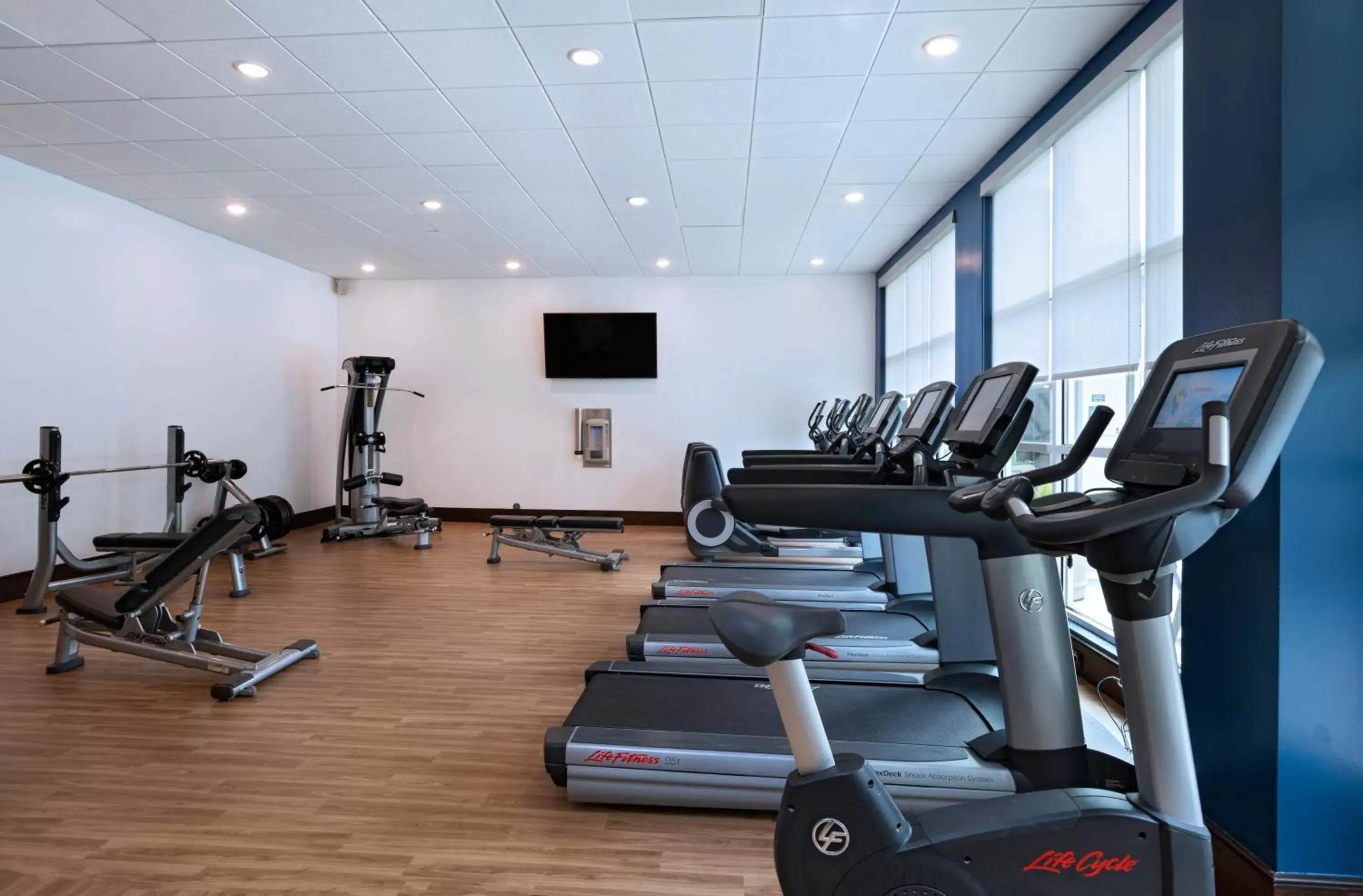 Fitness centre/facilities, Fitness Center/Facilities in Four Points by Sheraton Houston West