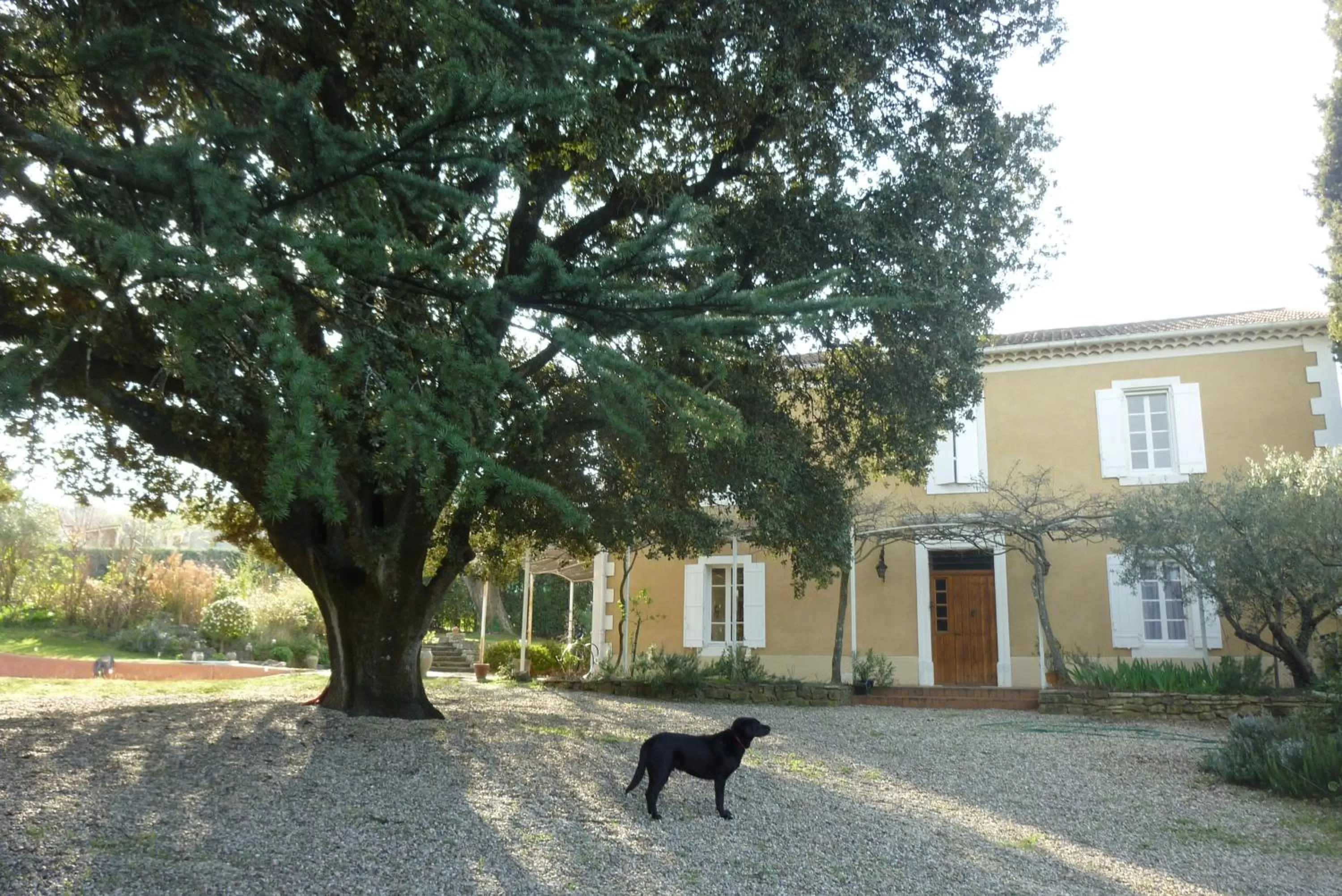 Facade/entrance in Le Fer en Cèze