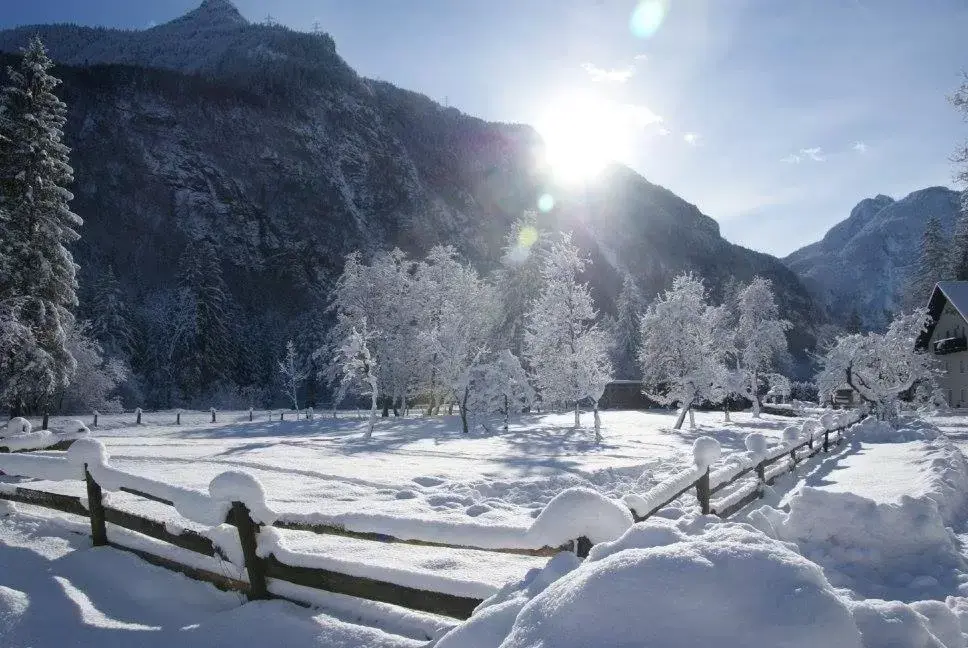 Natural landscape, Winter in Hotel Adler