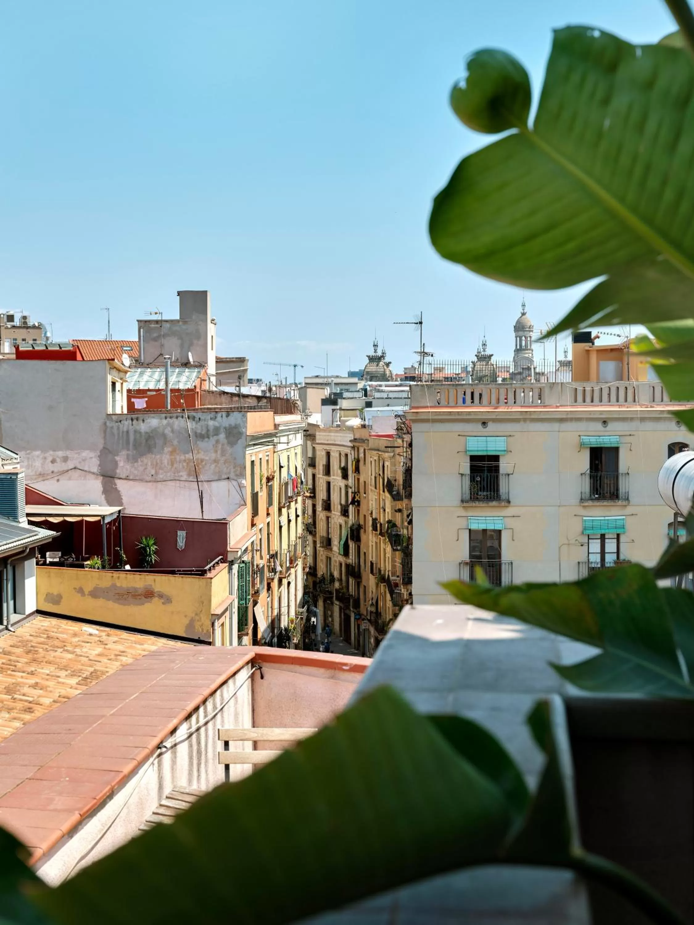 City view in Musik Boutique Hotel