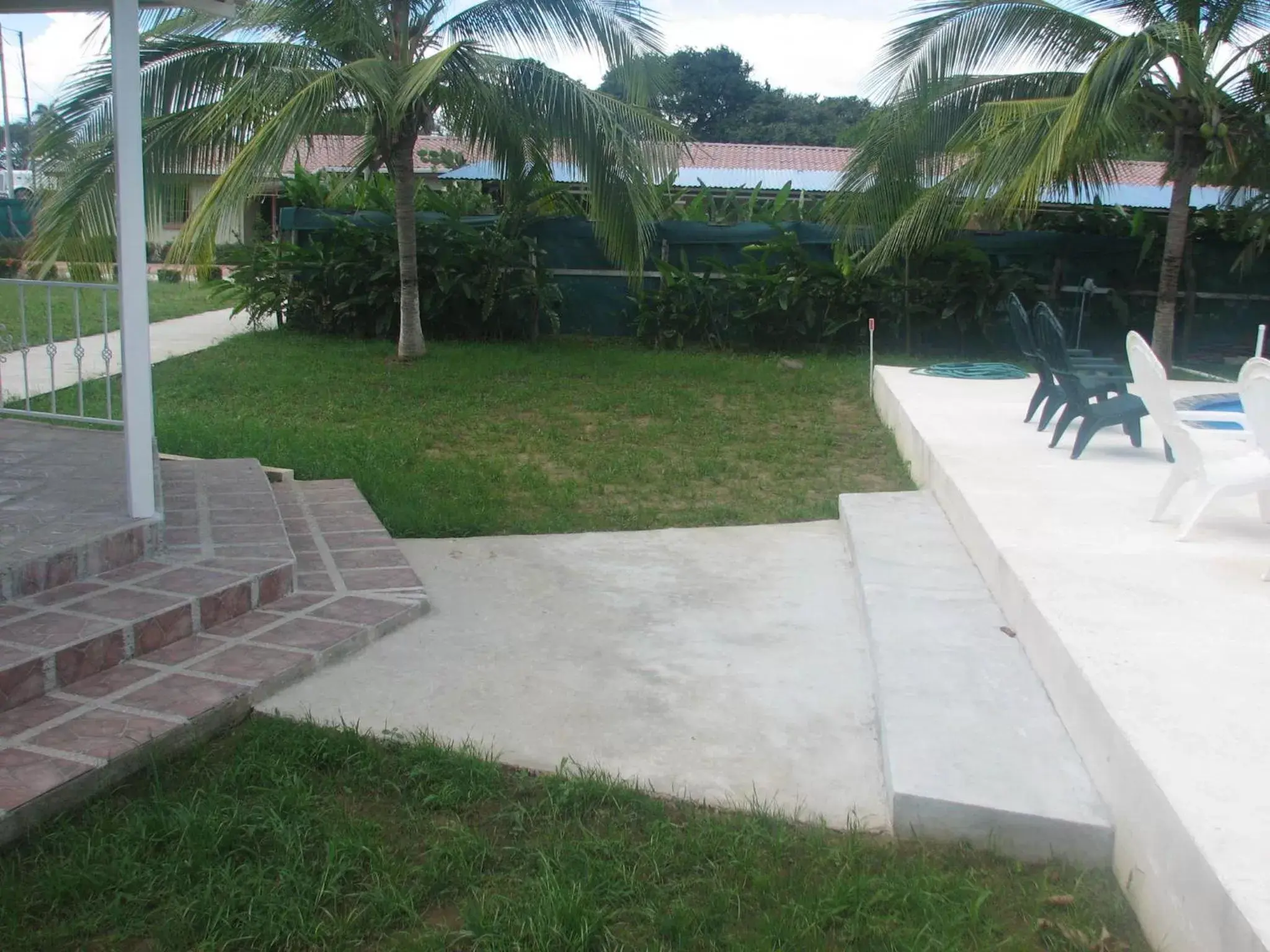 Swimming pool, Garden in Hotel La Arena