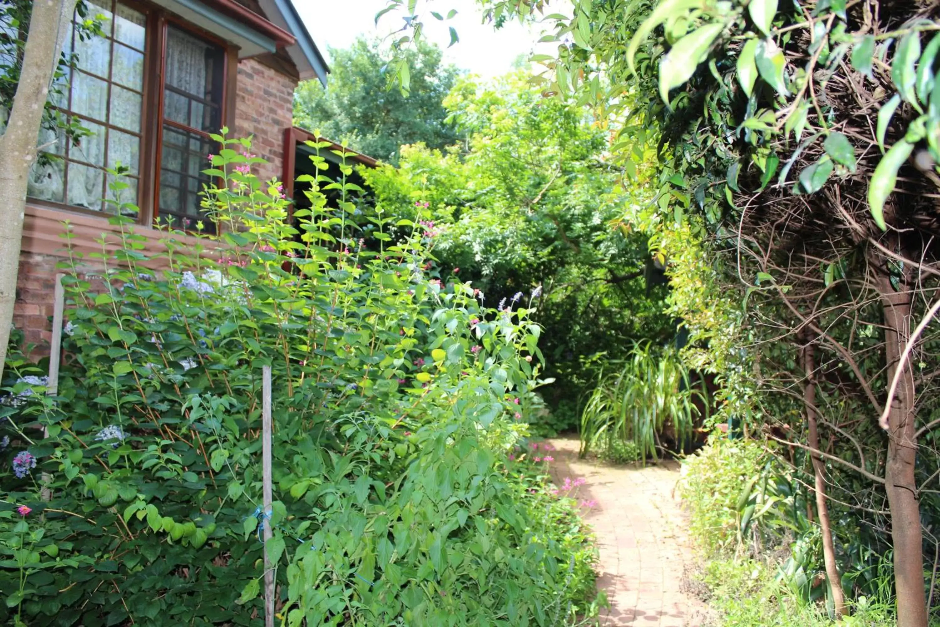 Garden in Storey Grange