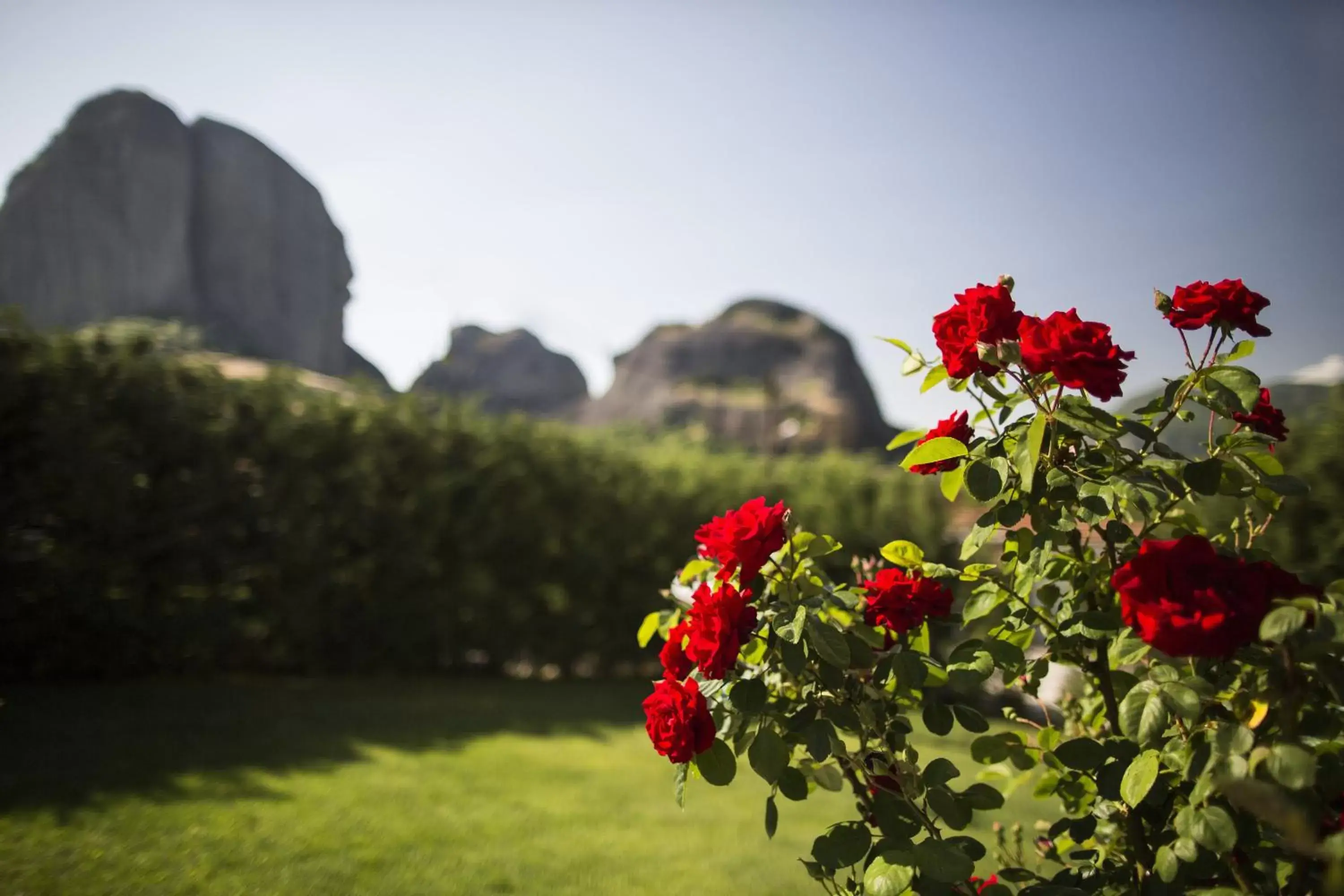 Garden view in Hotel Meteoritis