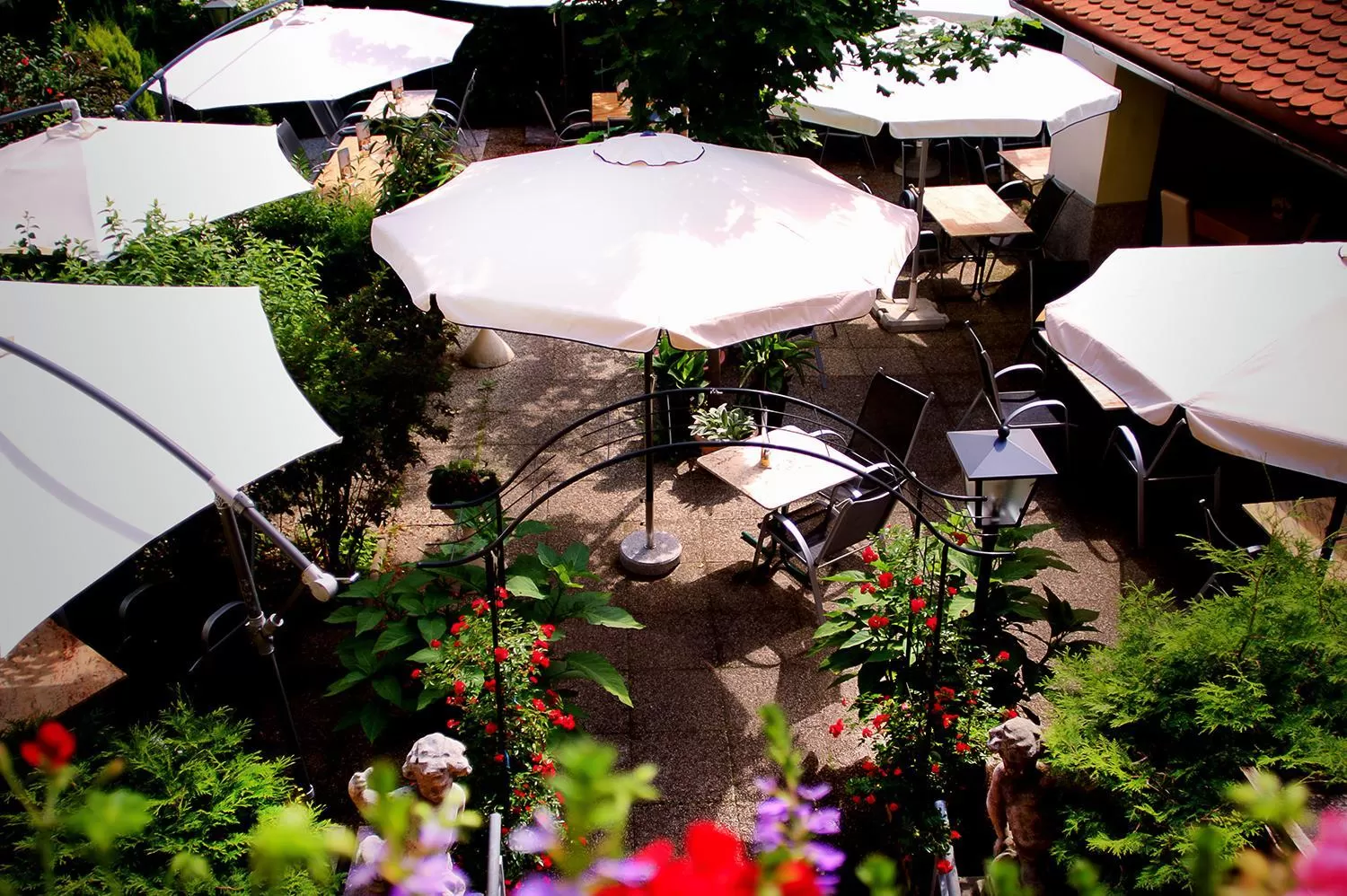 Garden in Hotel Alter Telegraf