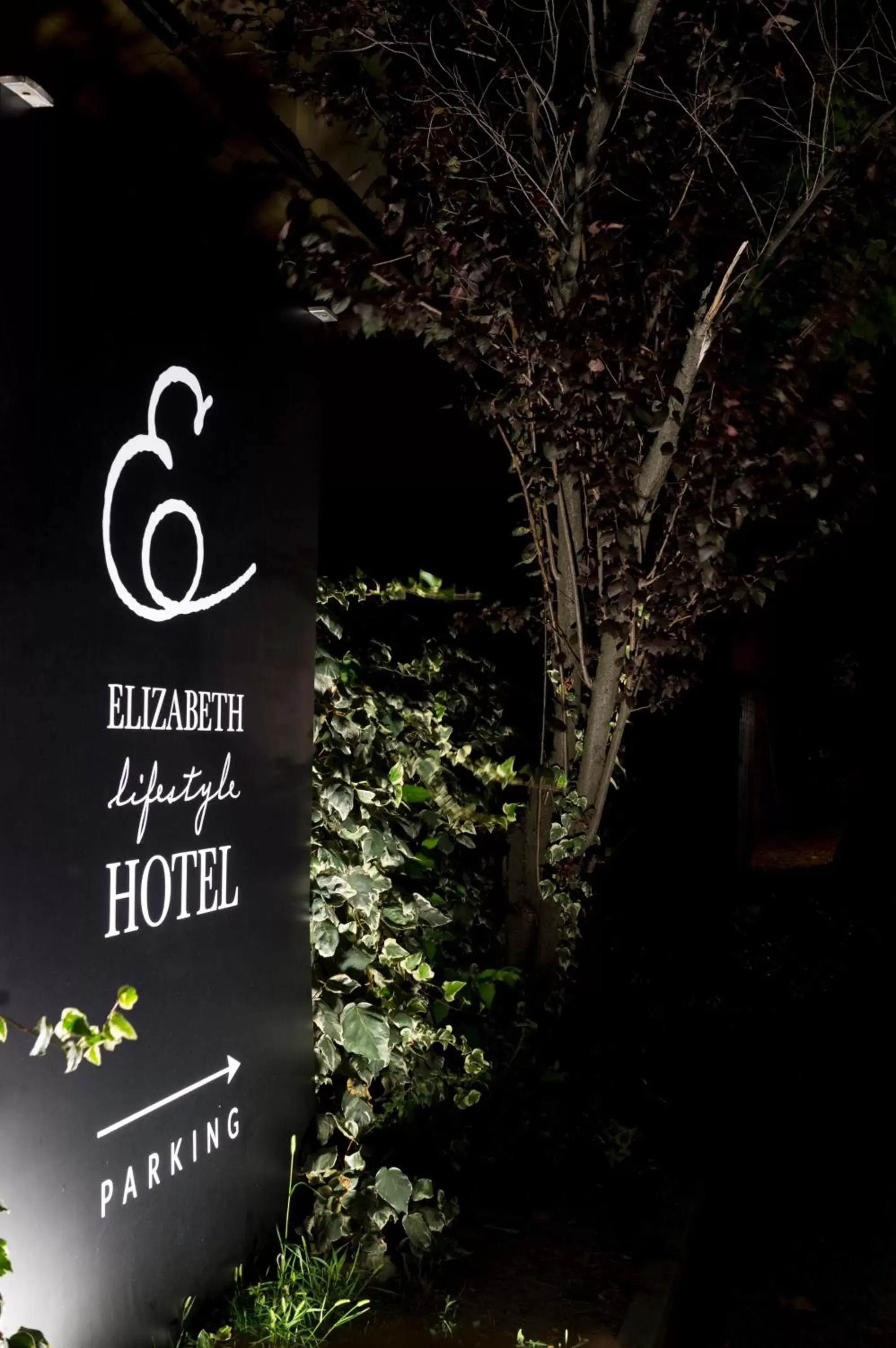 Elizabeth Lifestyle Hotel