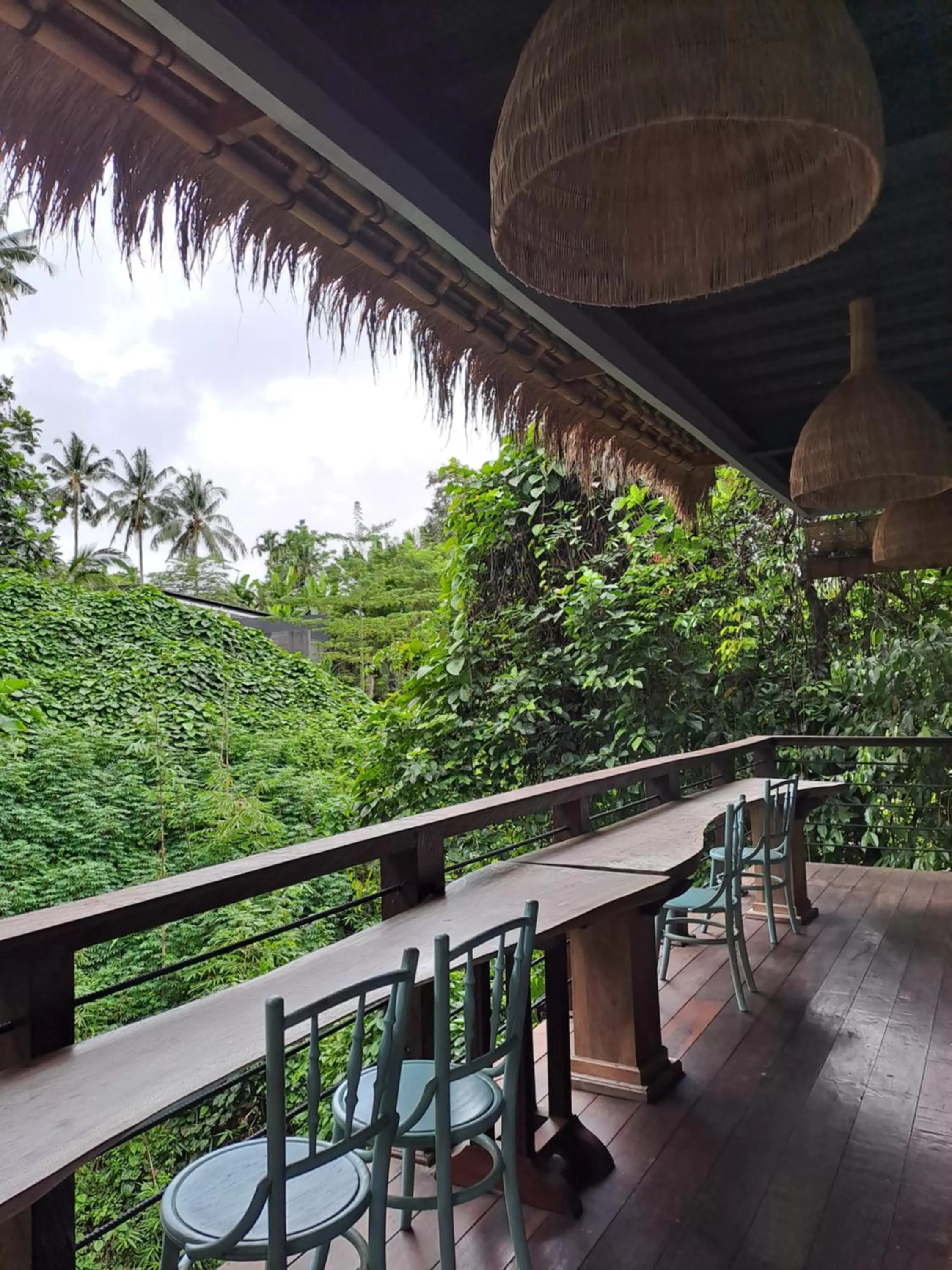 Restaurant/places to eat in Parvati Retreat Villas