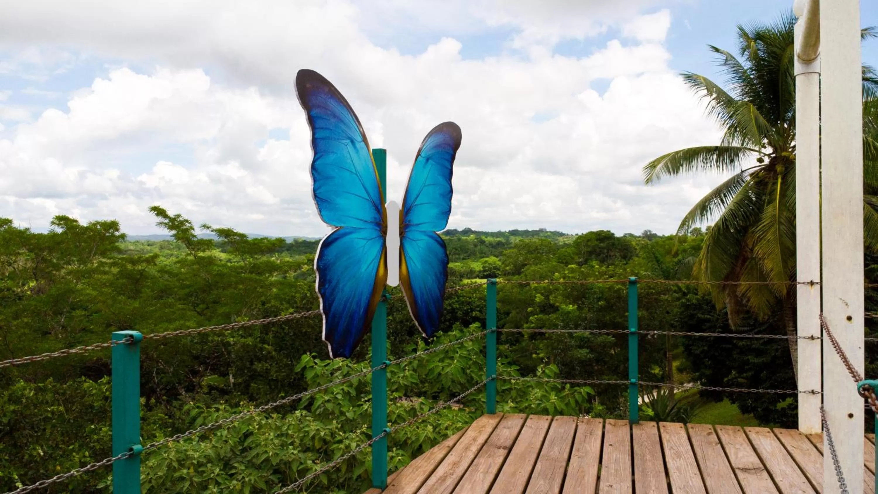 Property building in Rumors Resort Hotel