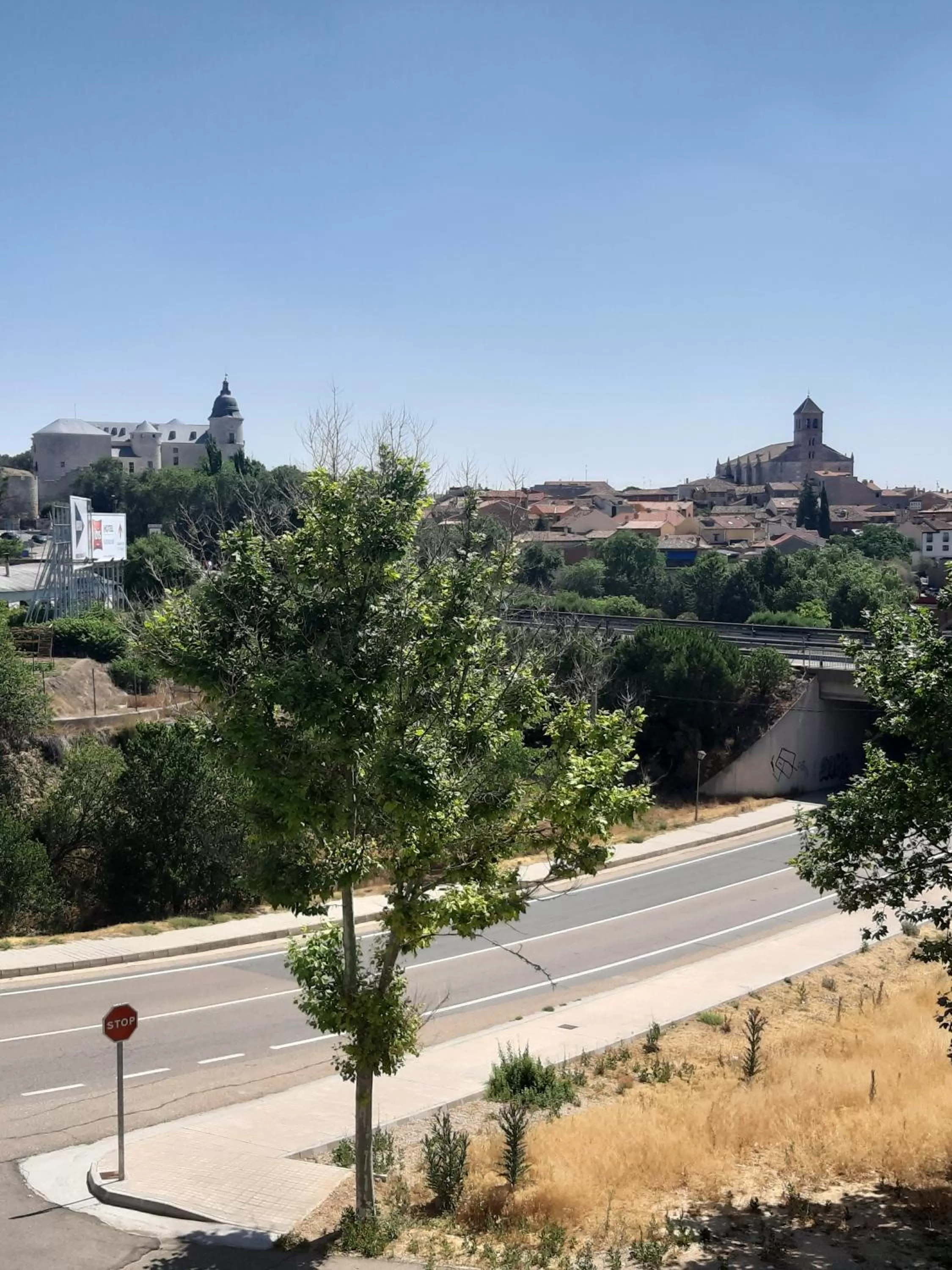 View (from property/room) in Hotel Pago del Olivo