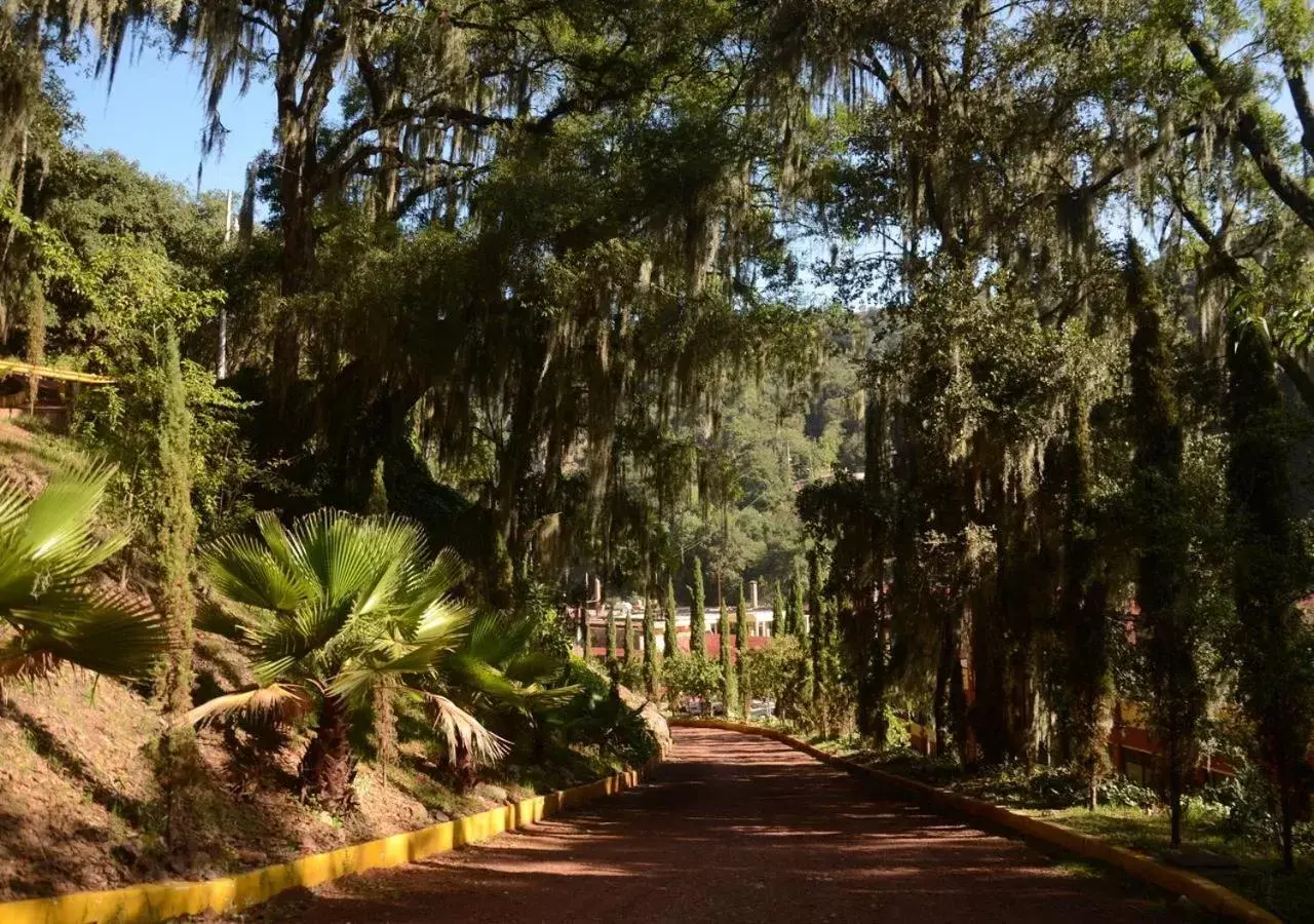 Garden in Hotel y Aguas Termales de Chignahuapan