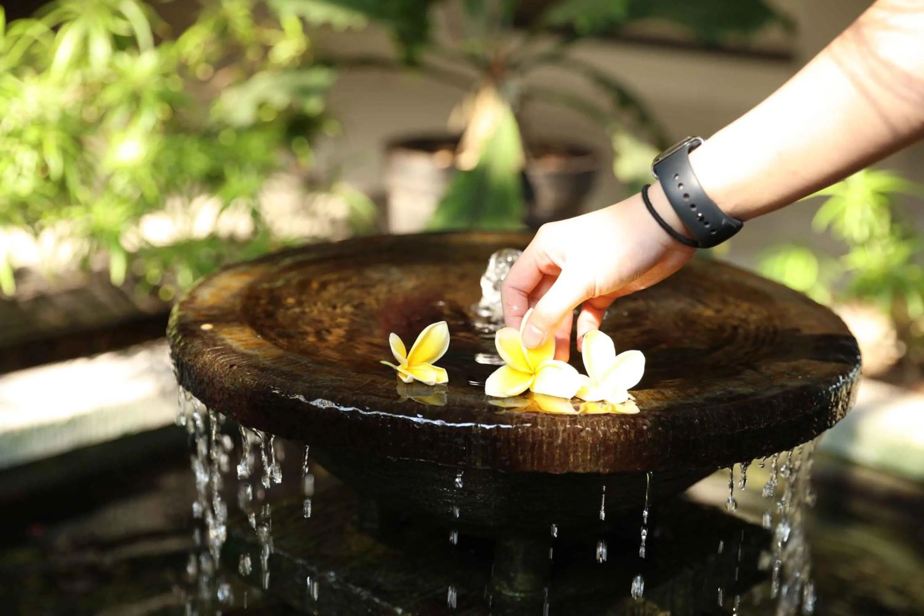 Lobby or reception in Bale Ocasa by Behomy