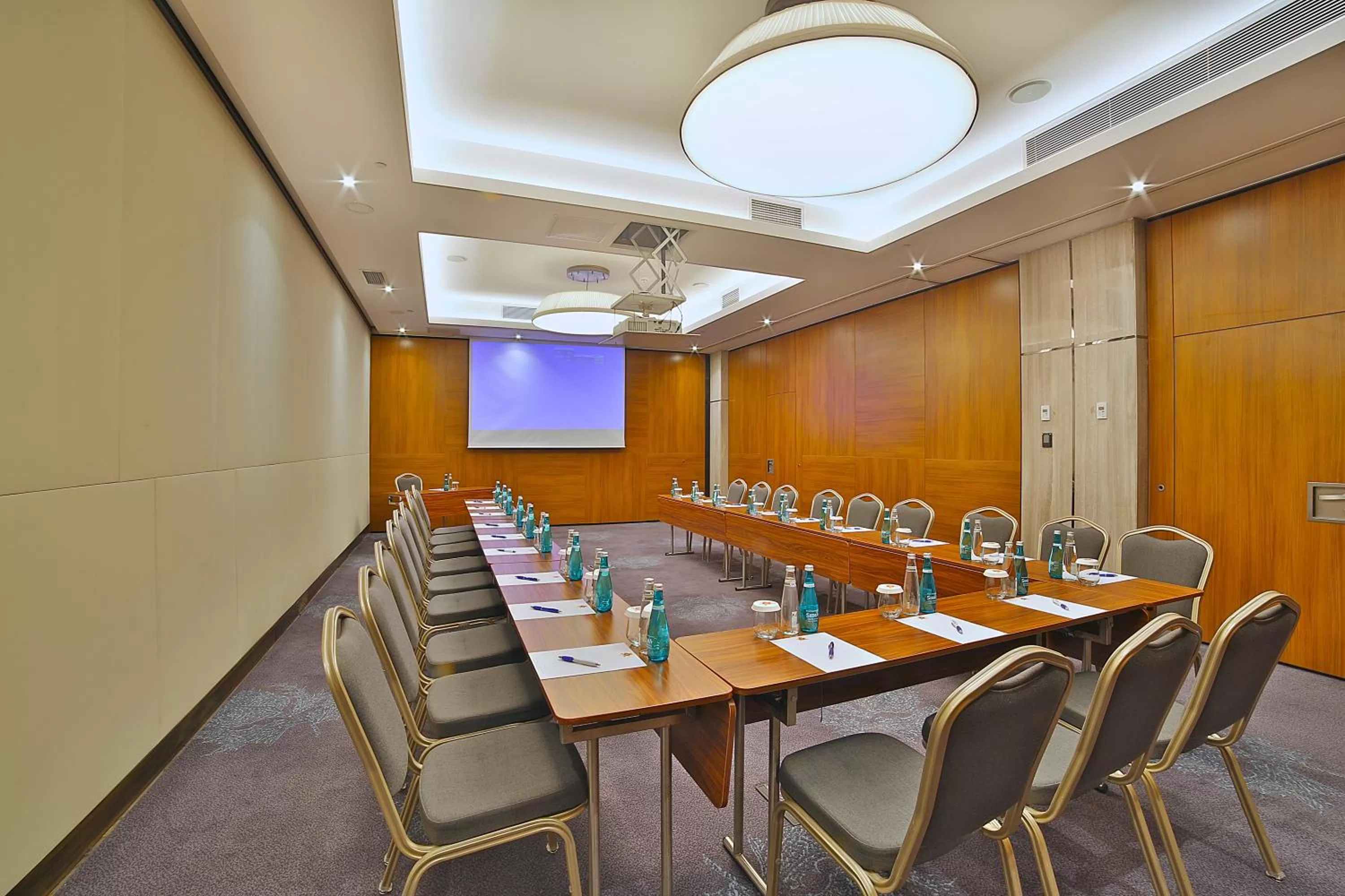 Business facilities in Dosso Dossi Hotels & SPA Downtown
