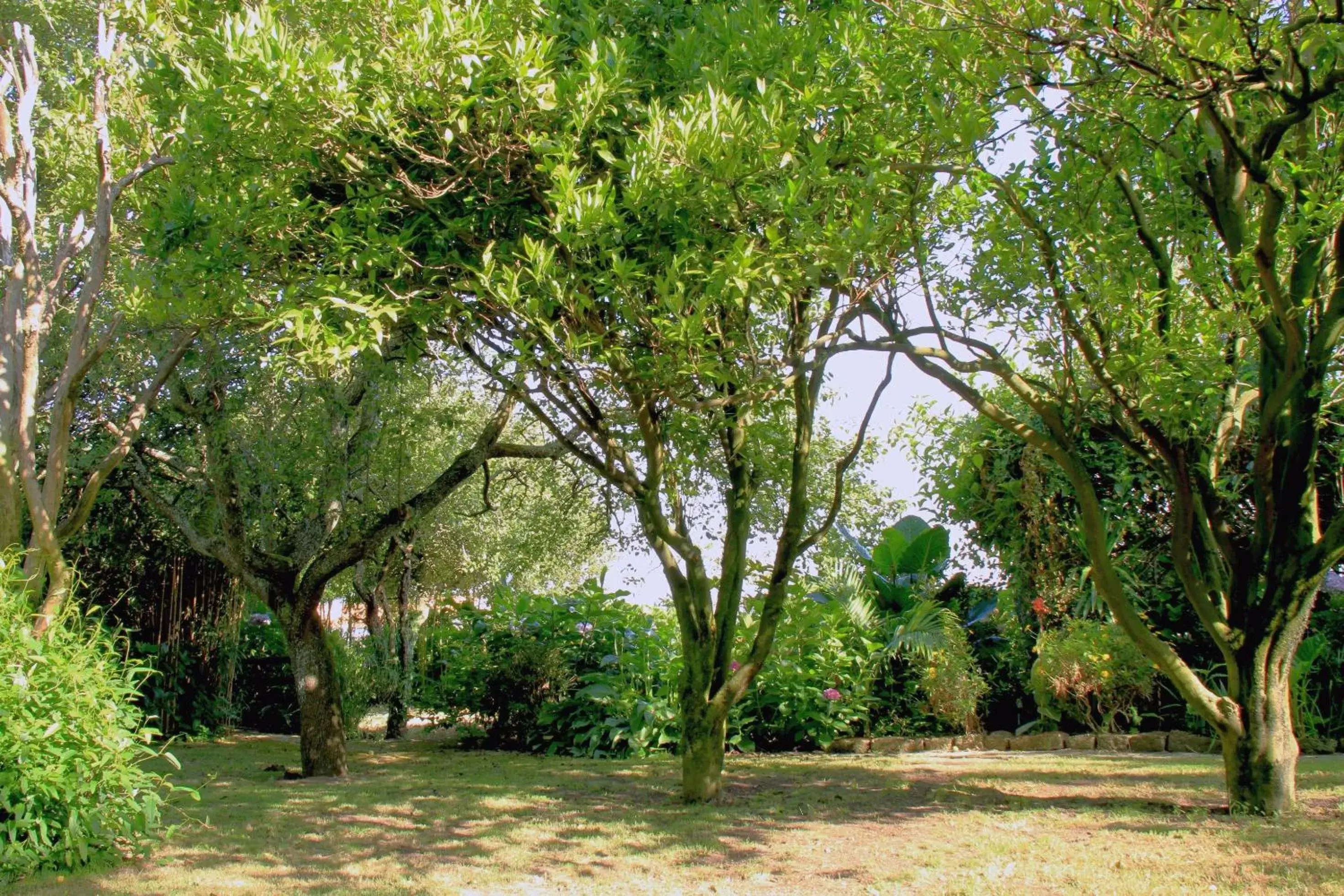 Garden in Casa 3 Águias