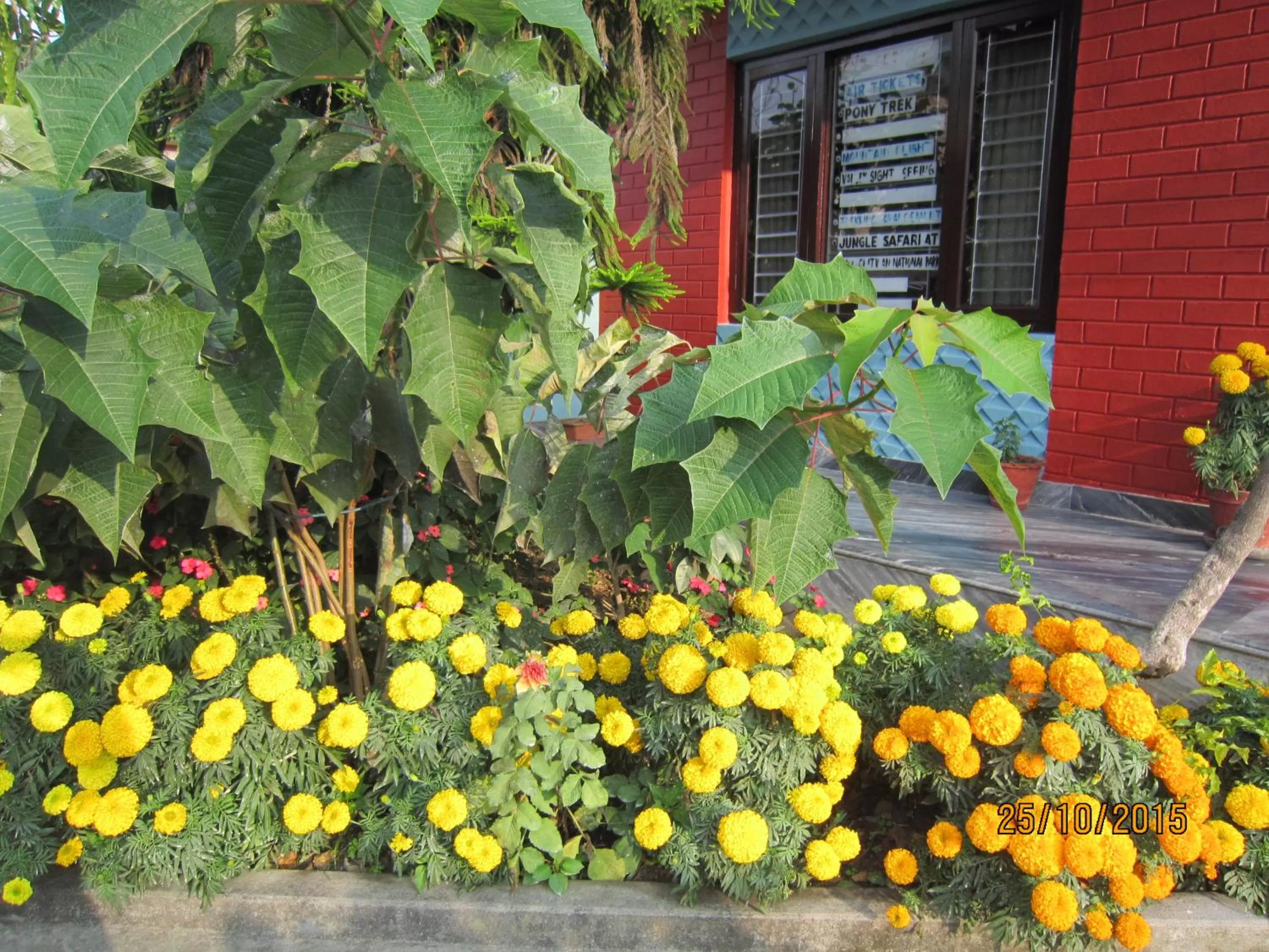 Garden in New Annapurna Guest House