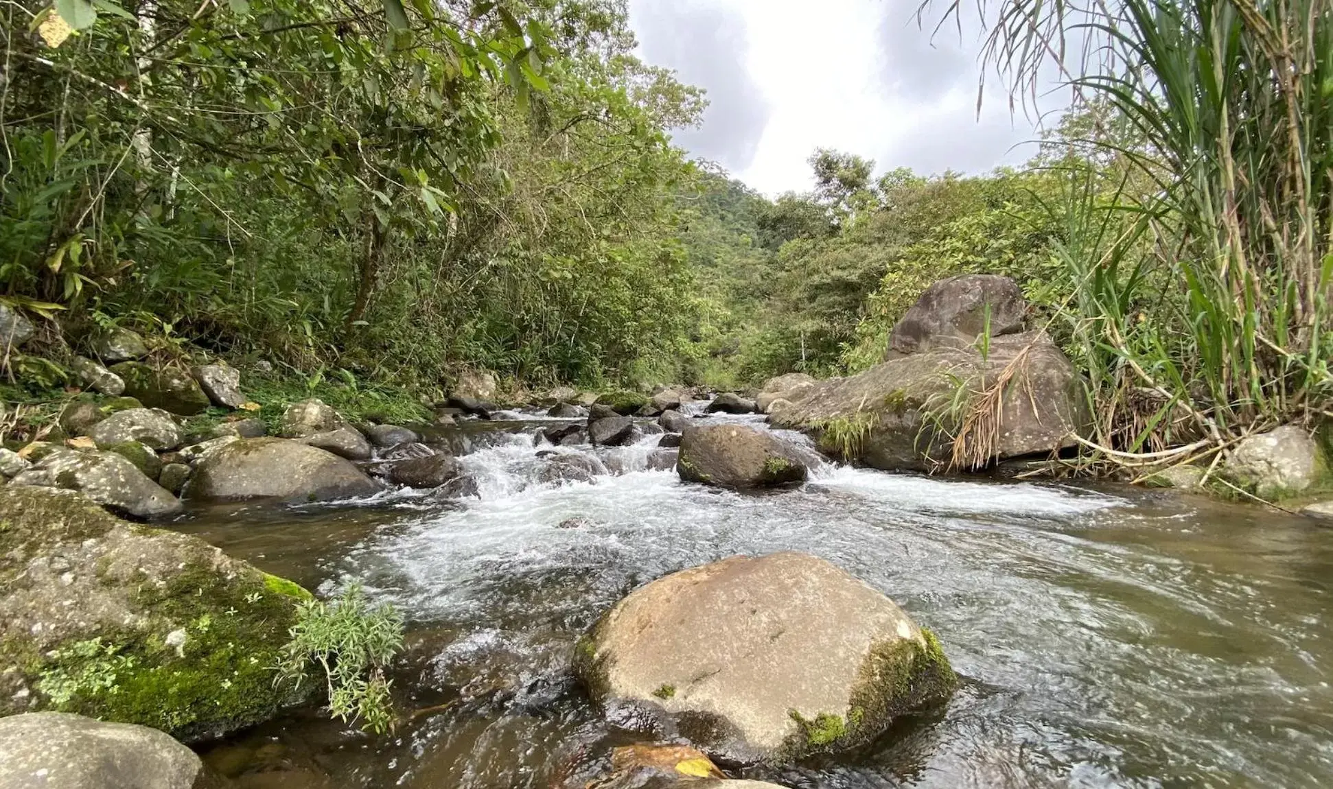 Hiking in Arte de Plumas birding lodge