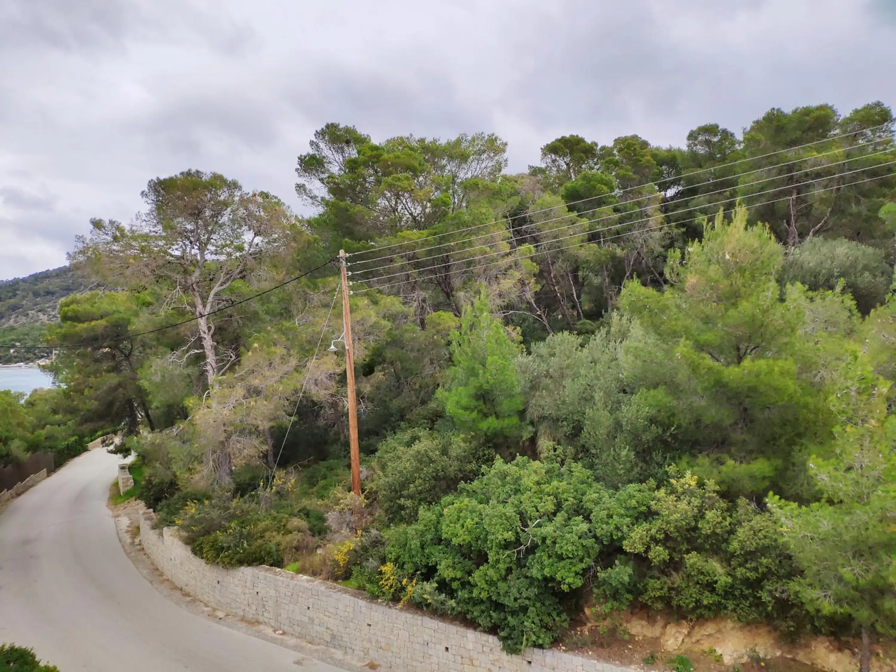 Natural landscape in Xenia Poros Image Hotel